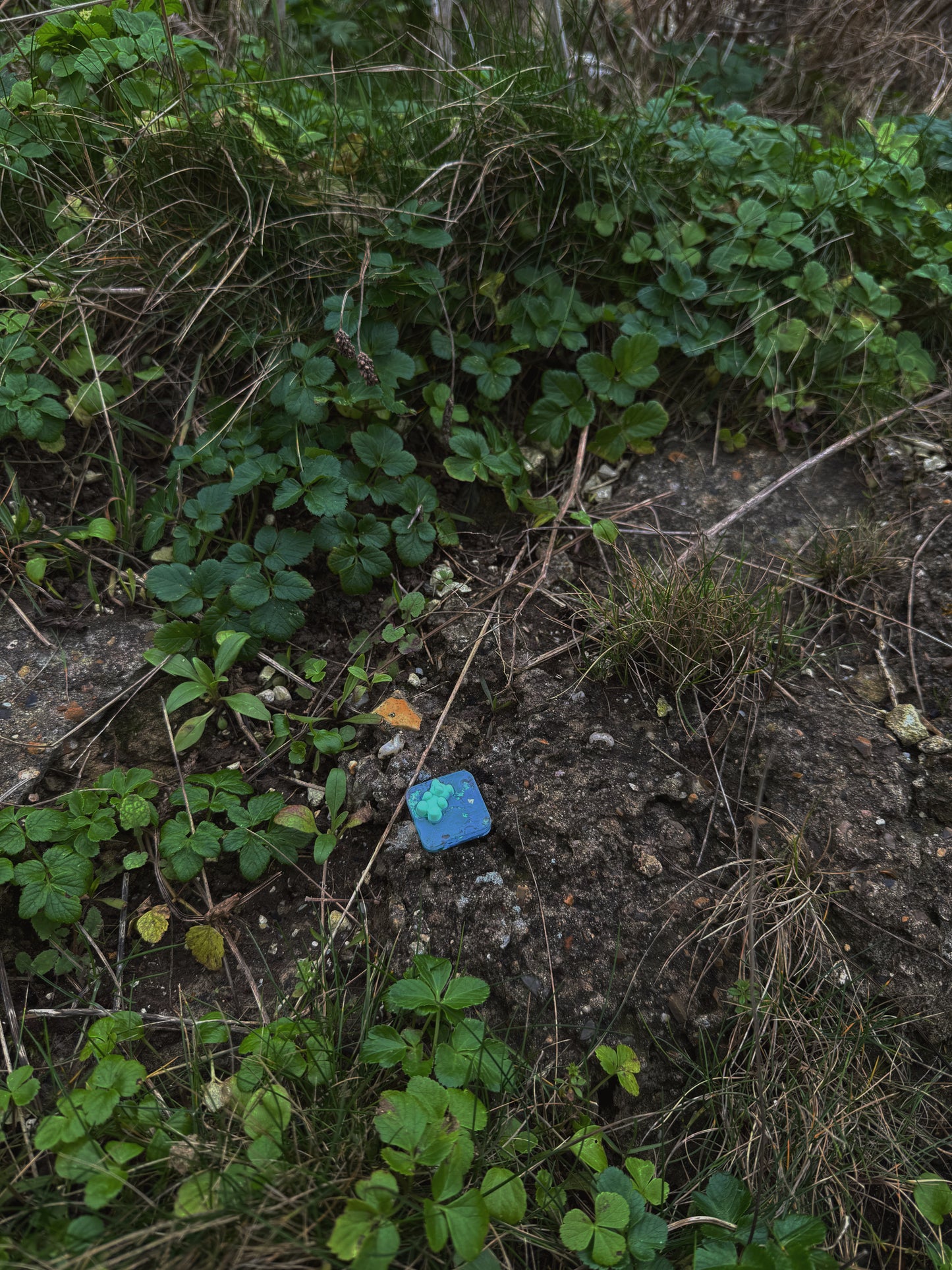 Green gummy: Mini square