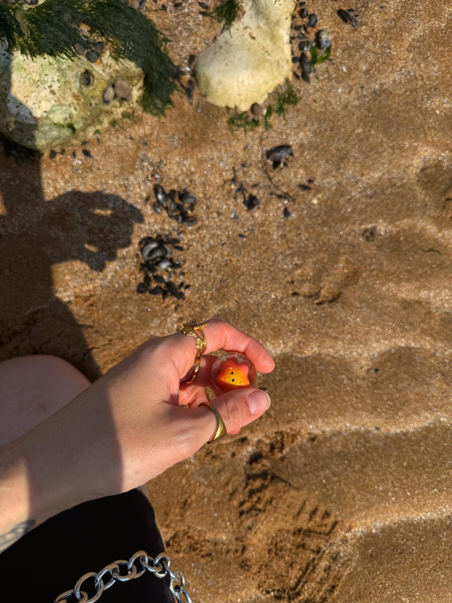 Star fish pebble