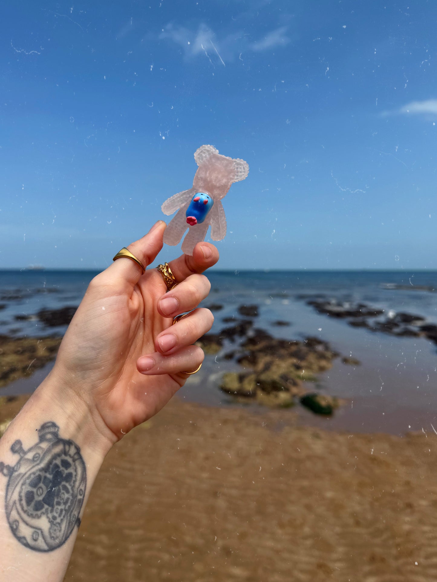 Jagger bear: blue sea slug