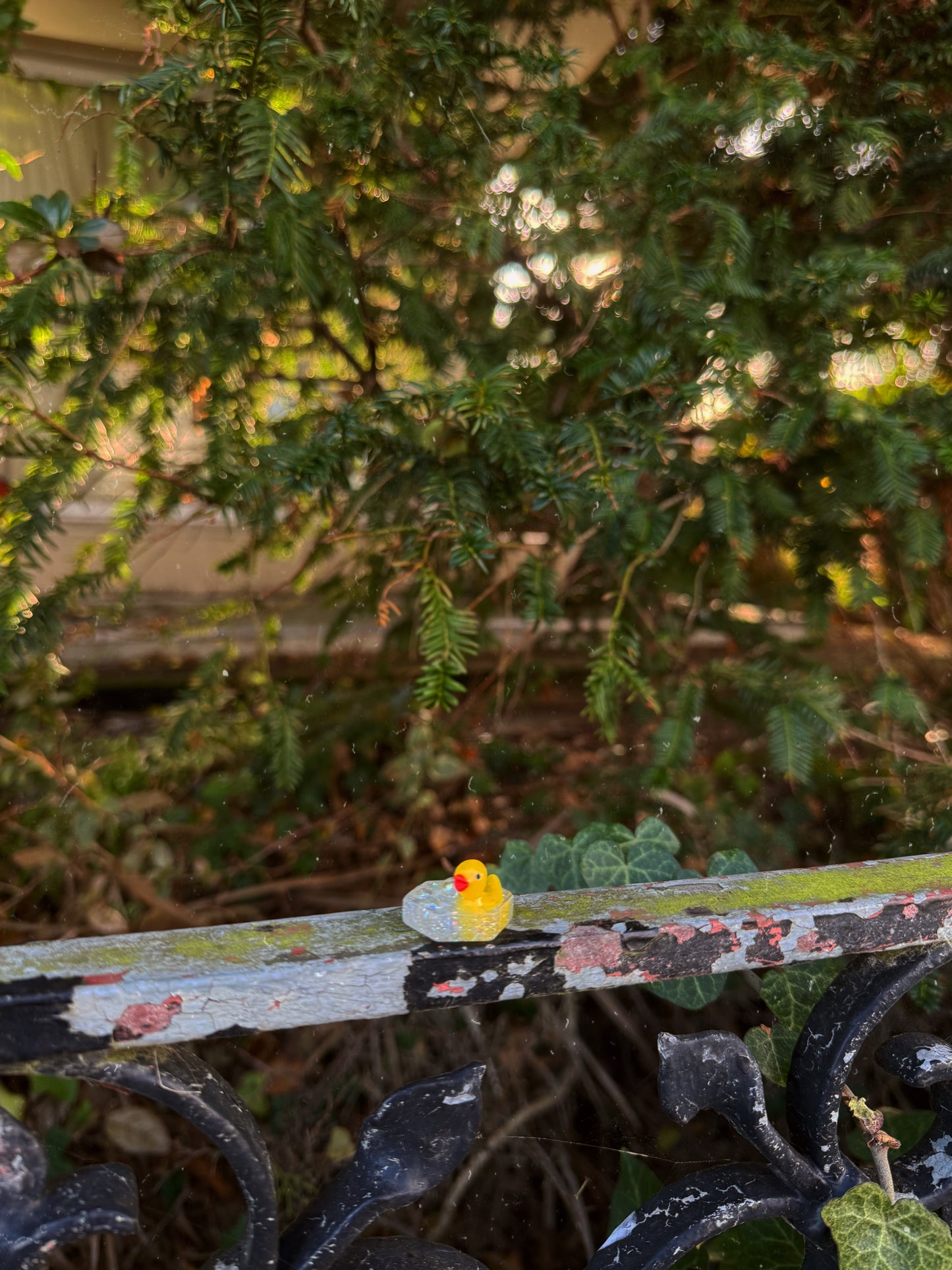 Micro hexagon: bubble bath