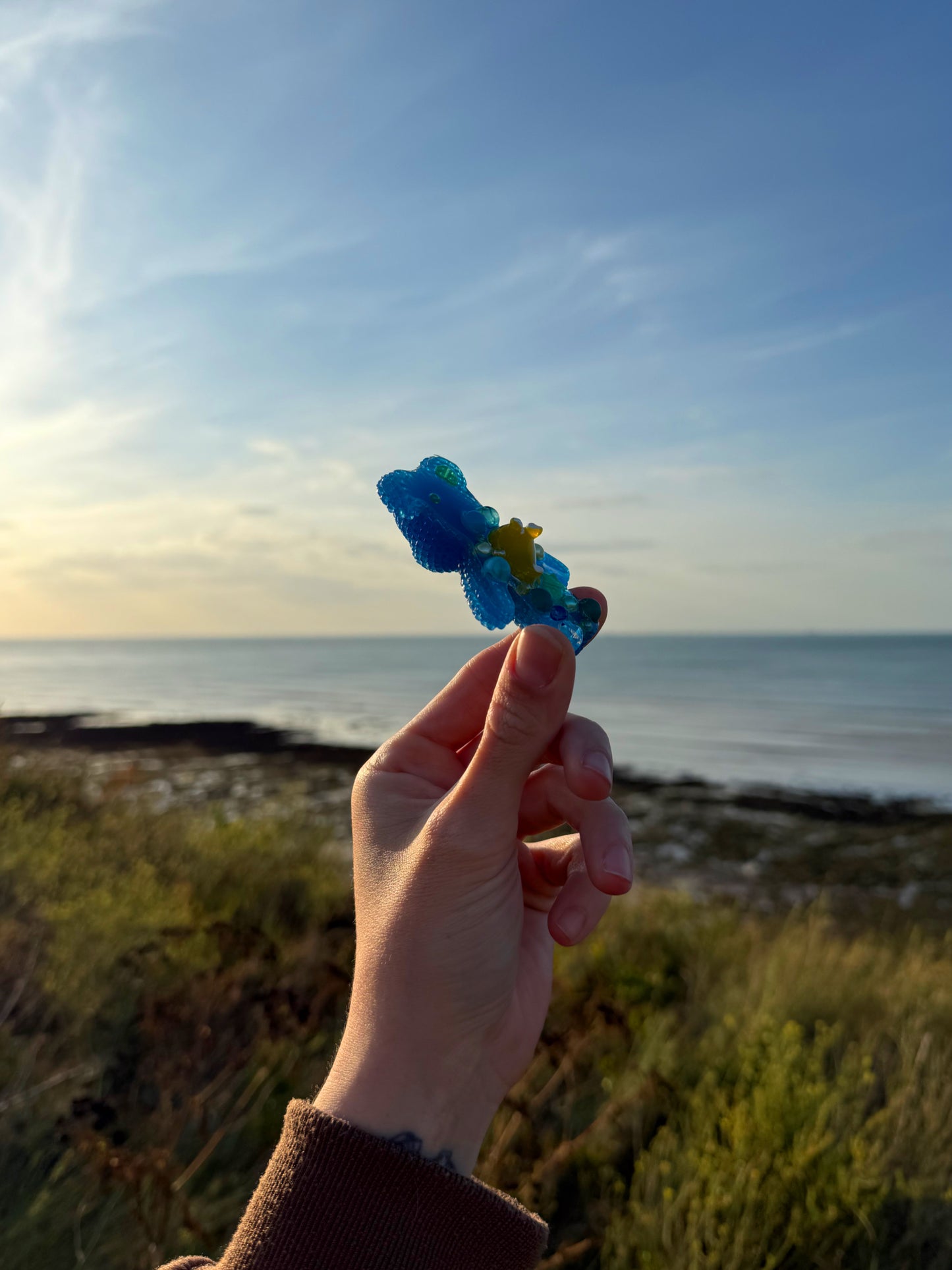 Jagger bear: sea slug