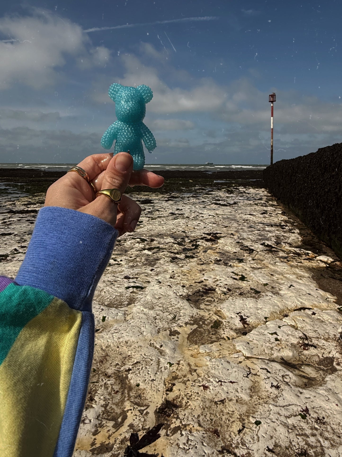 Jagger bear: ocean blue
