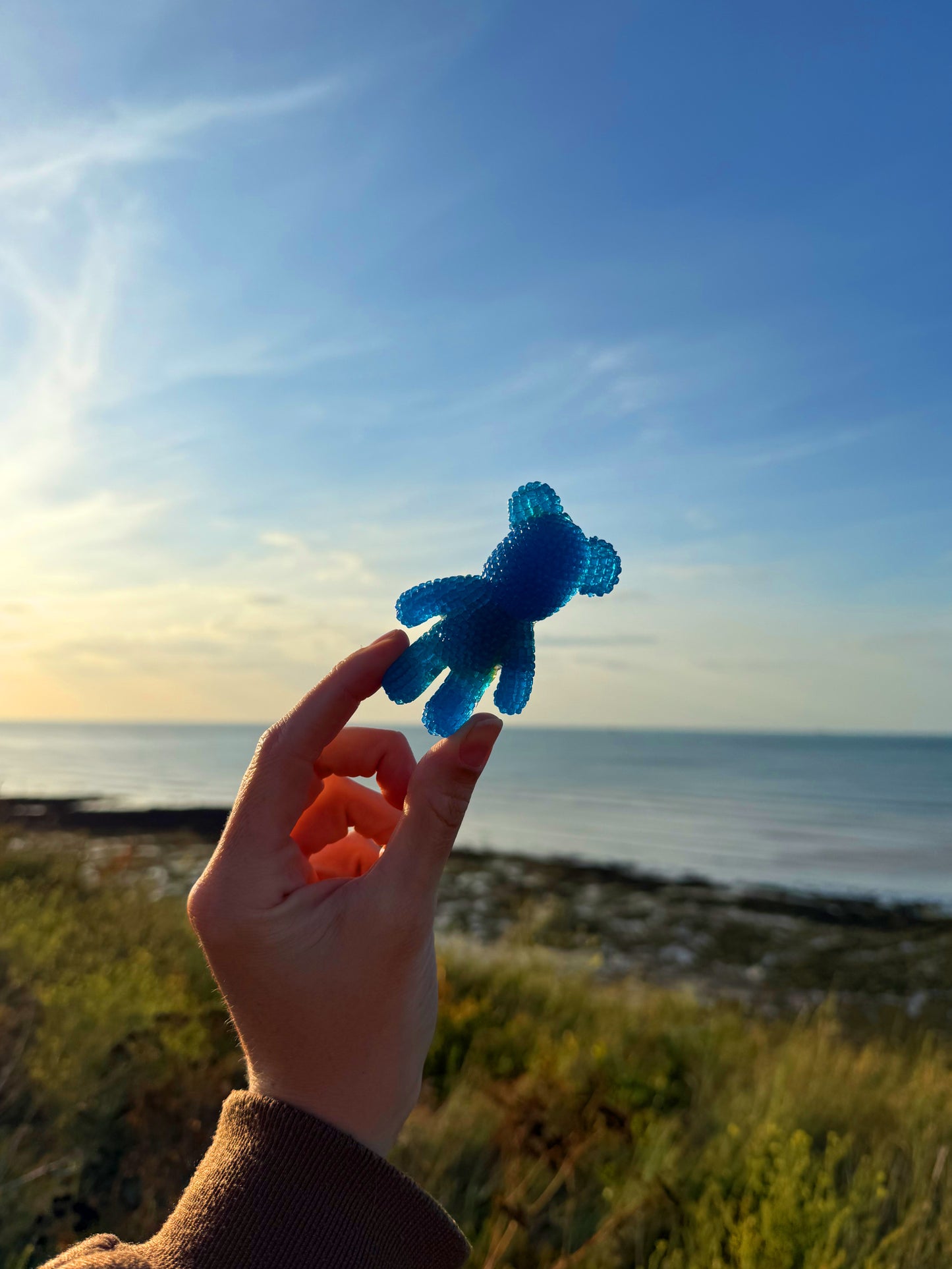 Jagger bear: sea slug