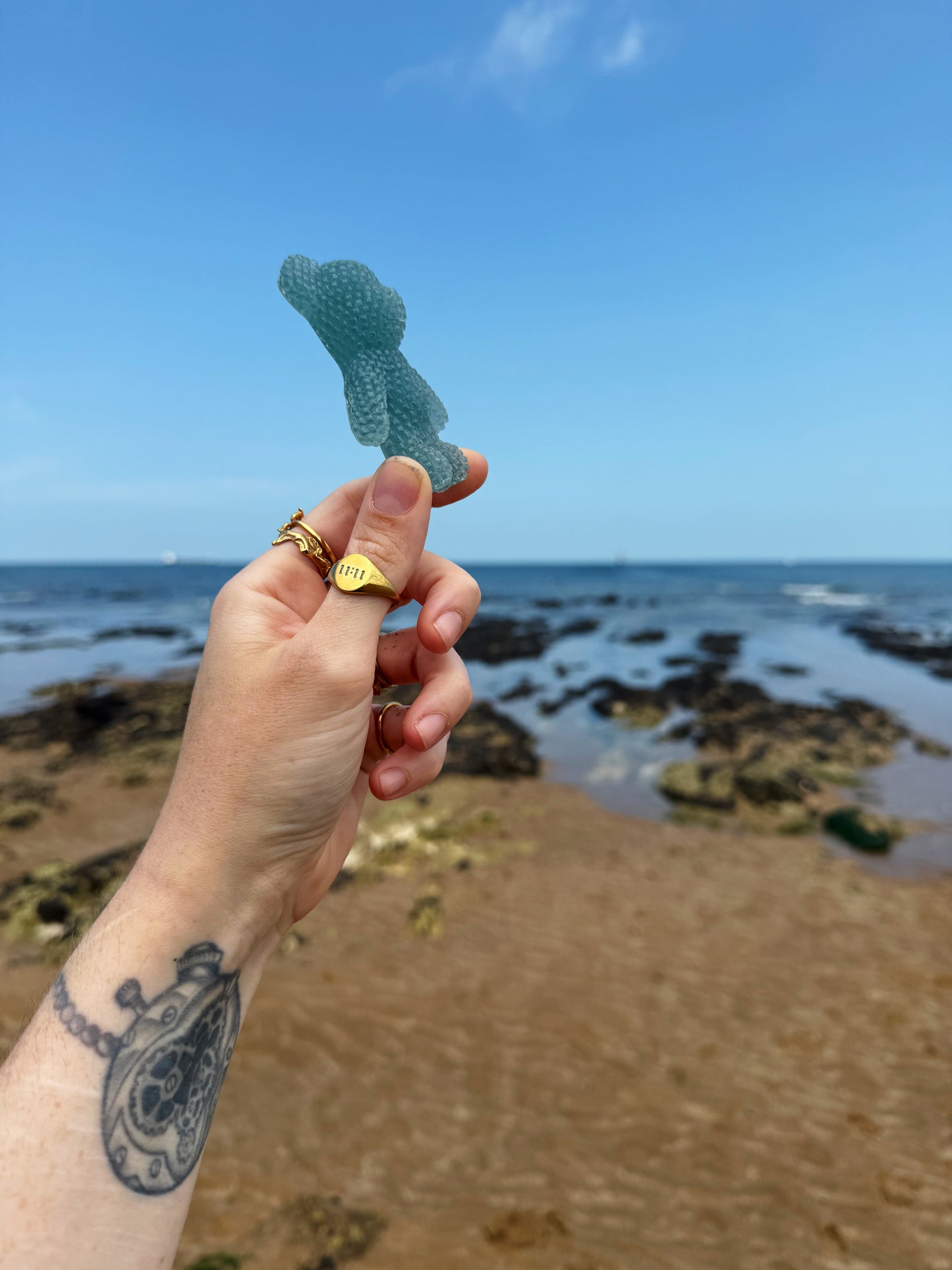 Jagger bear: seaweed water drop