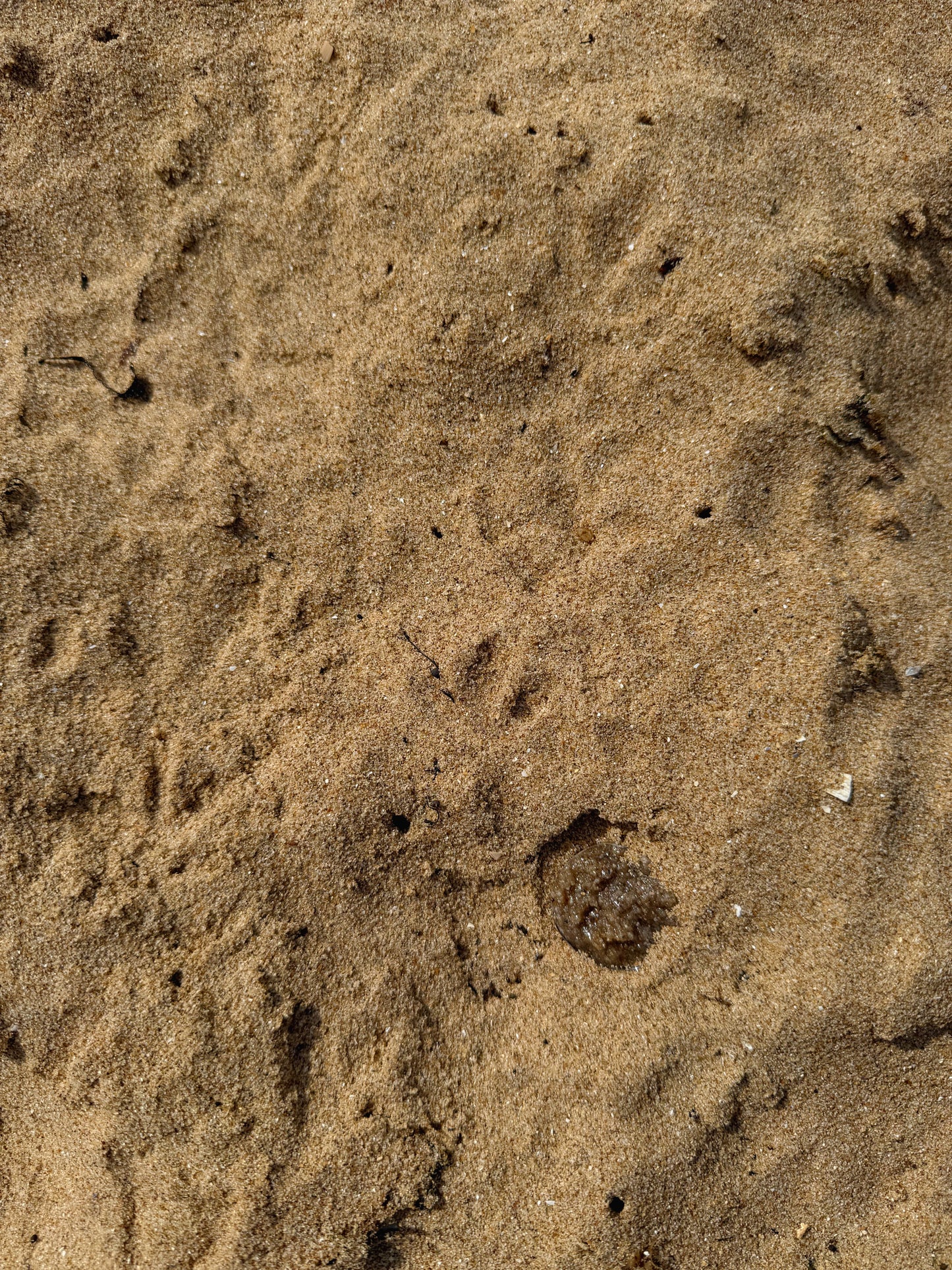 The sand wave