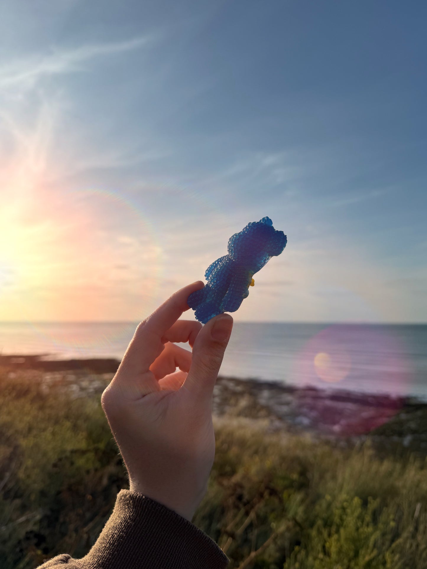 Jagger bear: sea slug