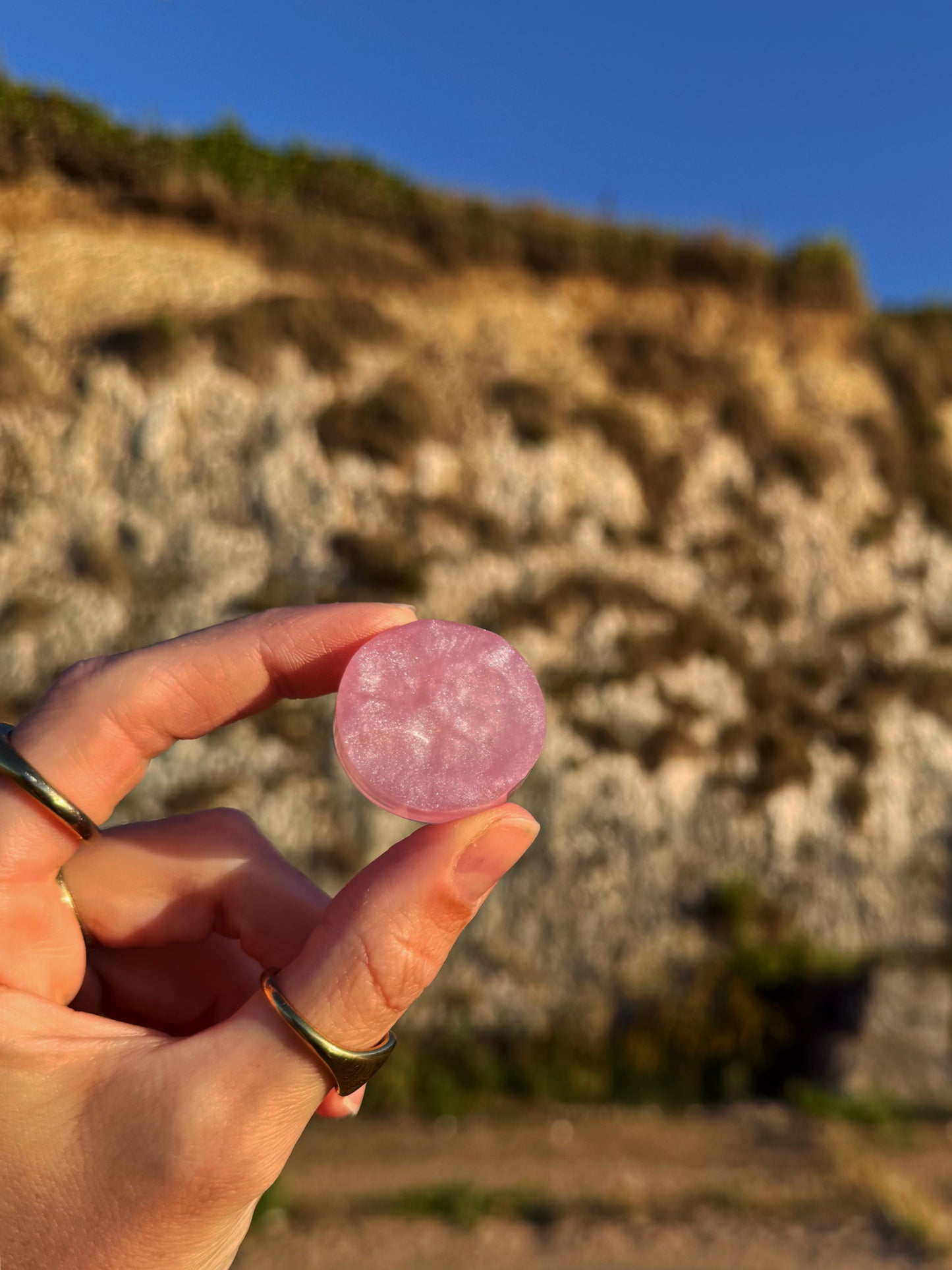 Pink & fish wave