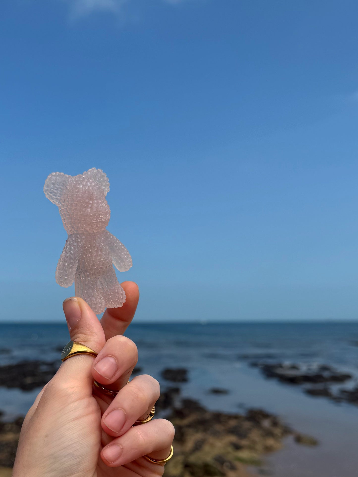 Jagger bear: blue sea slug