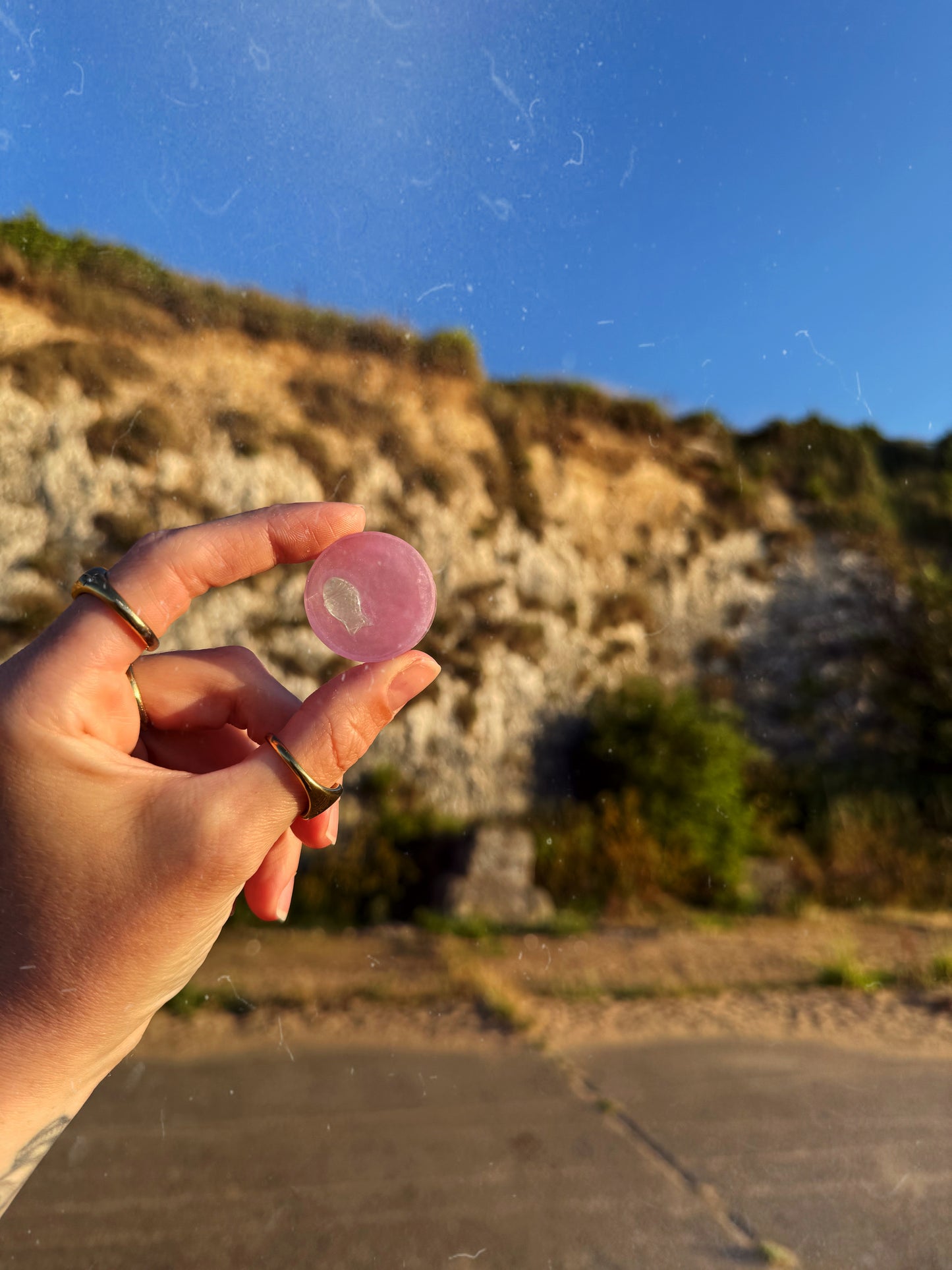 Pink & fish wave
