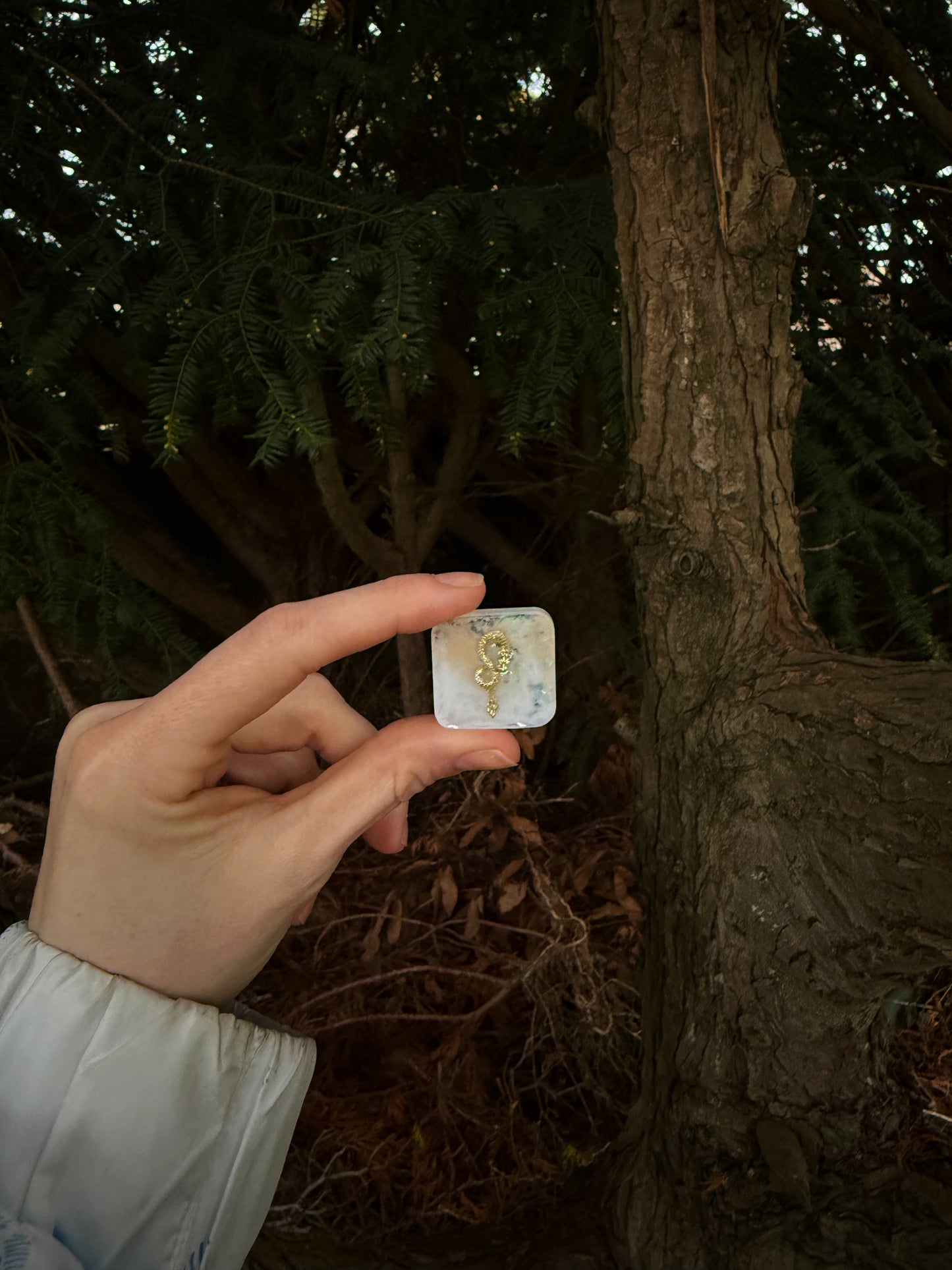 Infinity dragon : Mini square