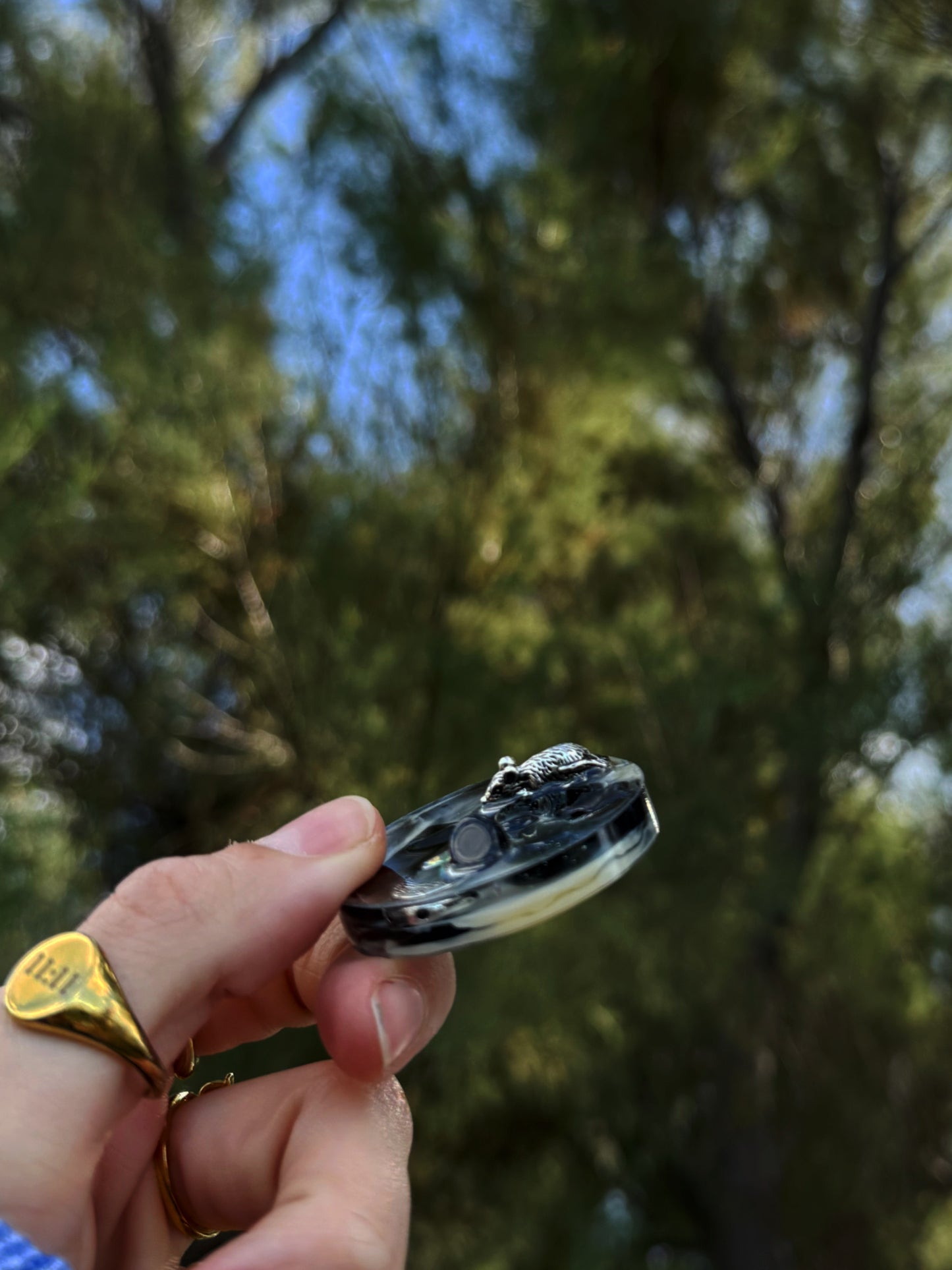 micro ripple: rat magic 119