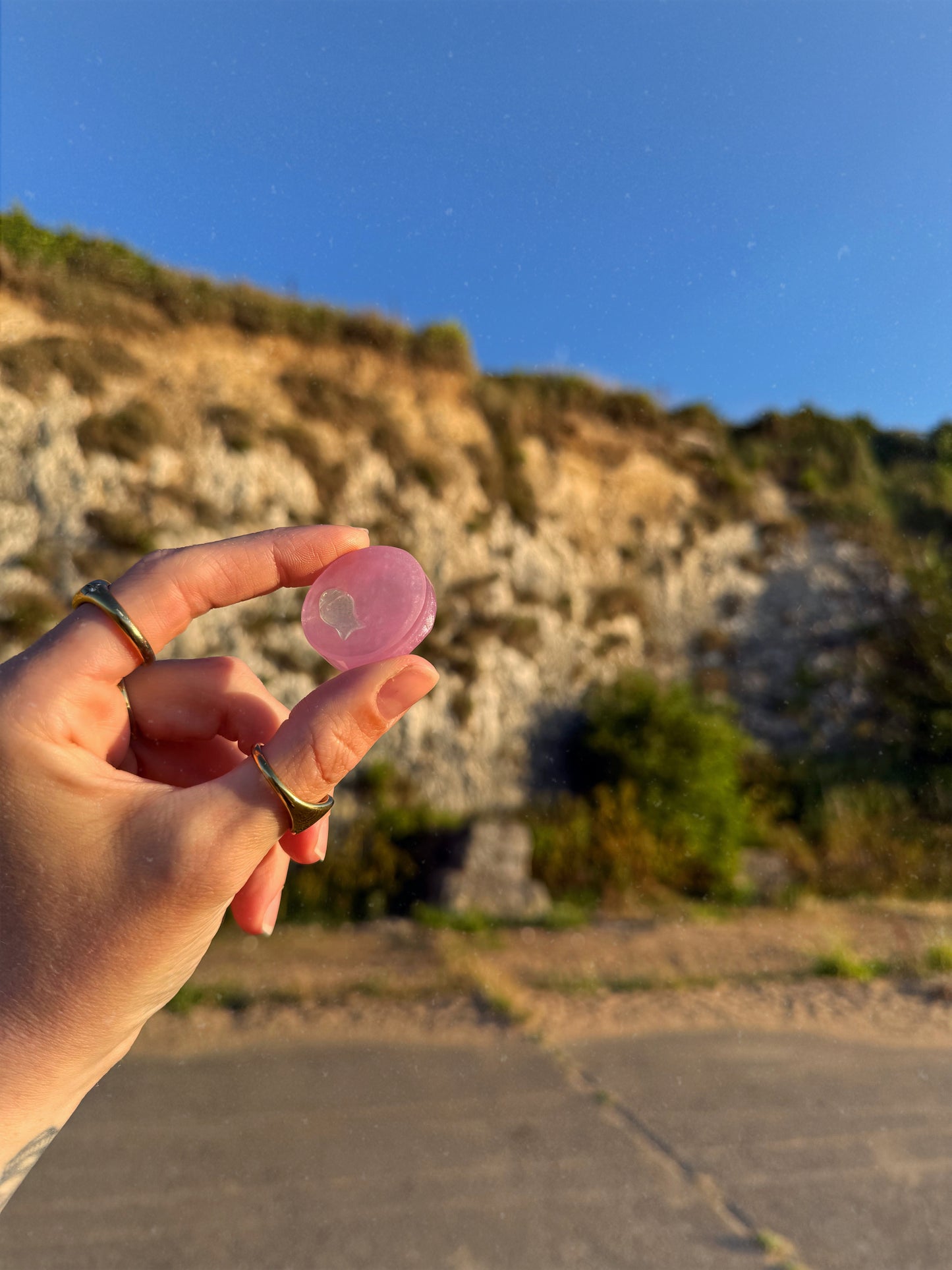 Pink & fish wave