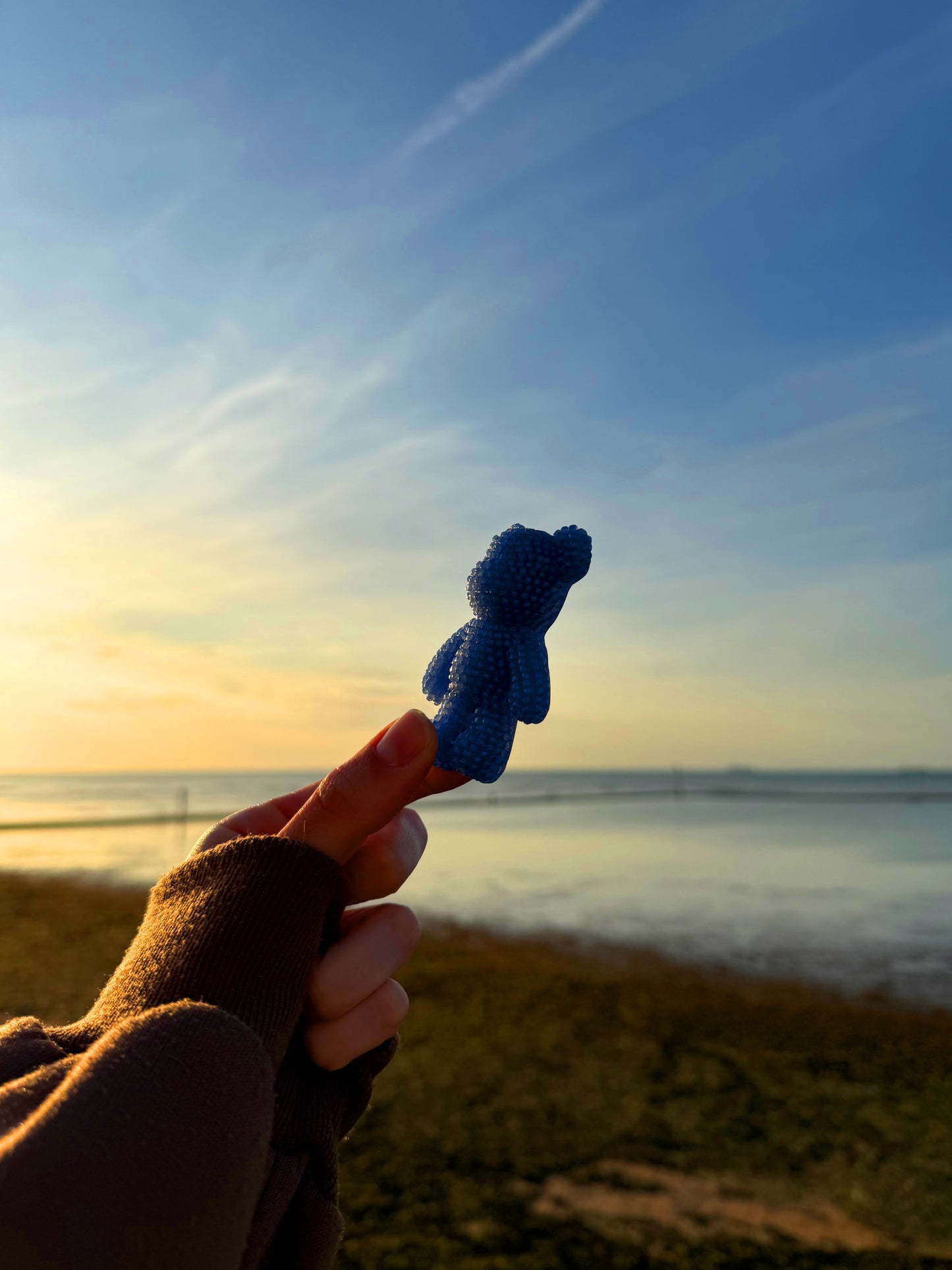 Jagger bear: ocean magic