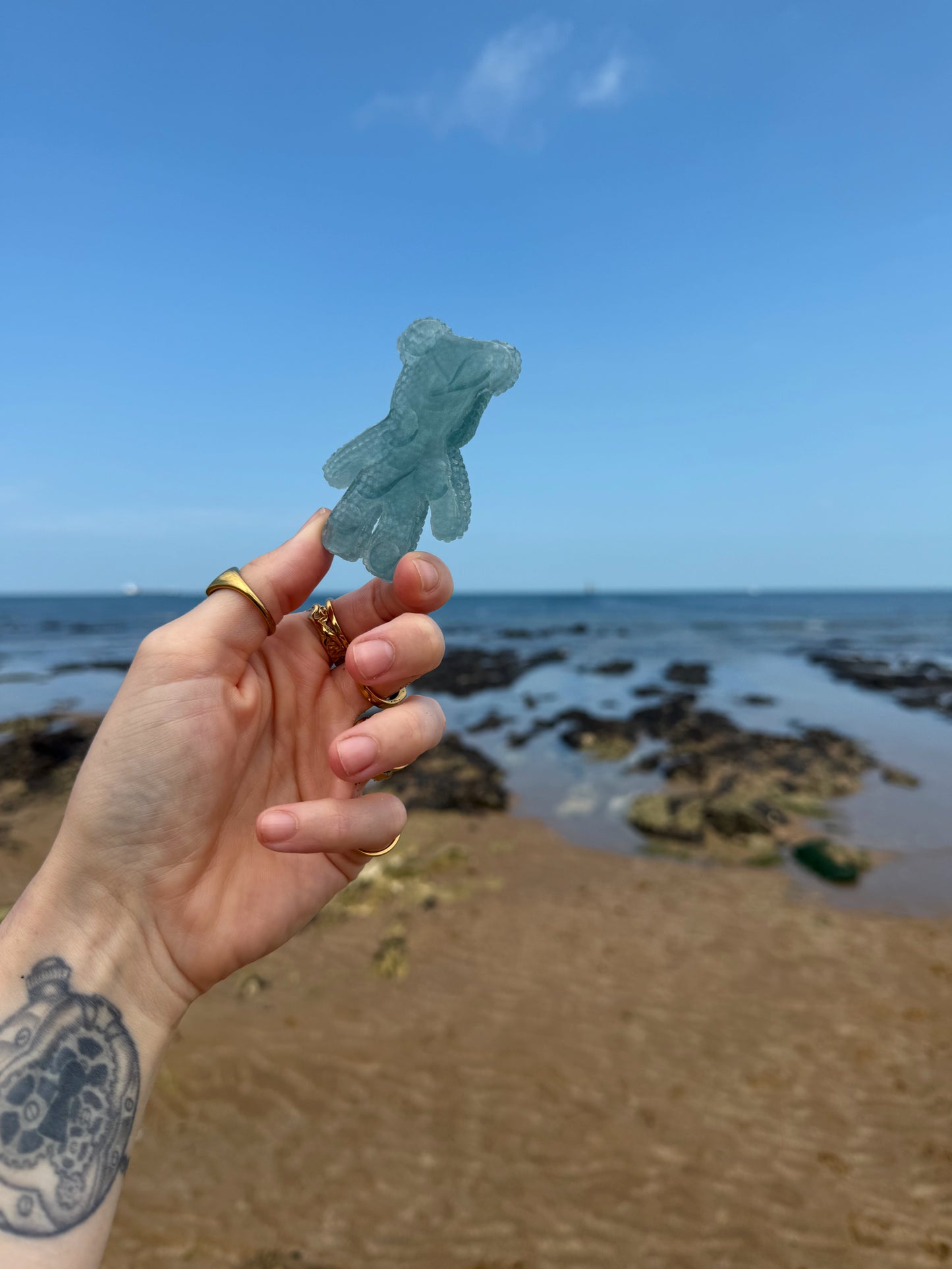 Jagger bear: seaweed water drop