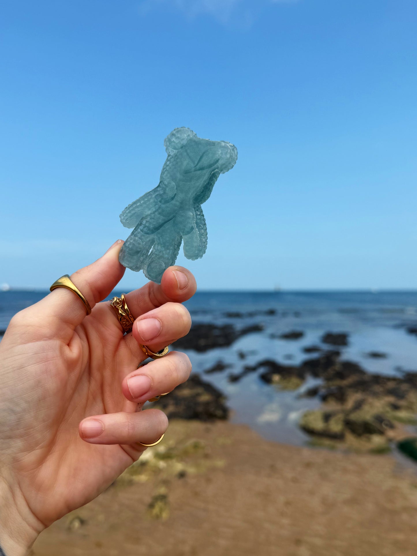 Jagger bear: seaweed water drop