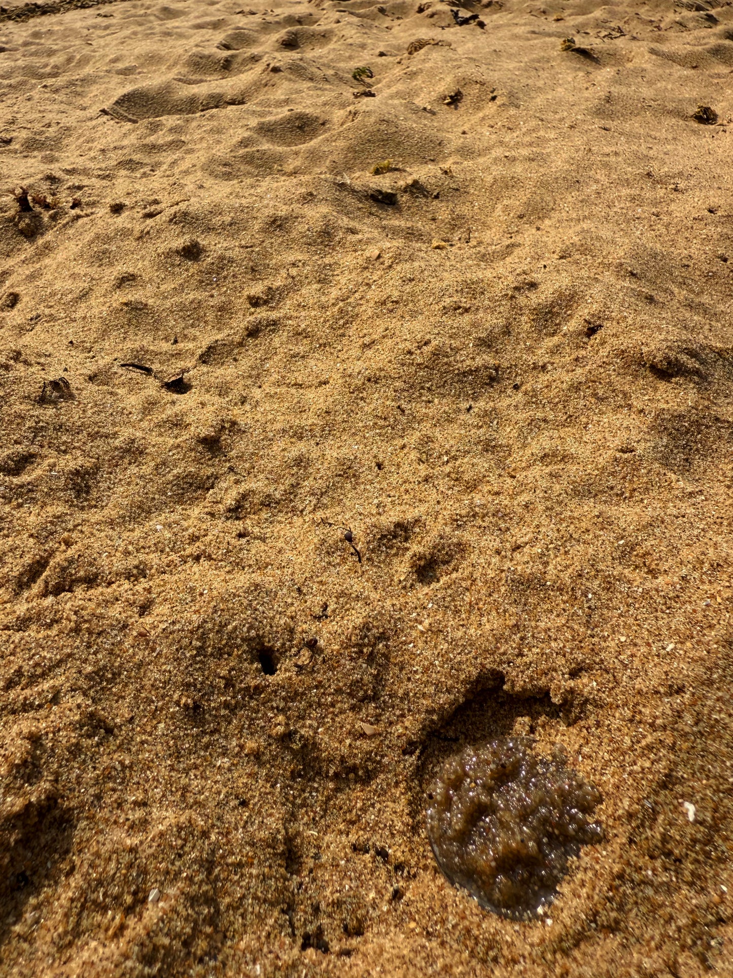 The sand wave