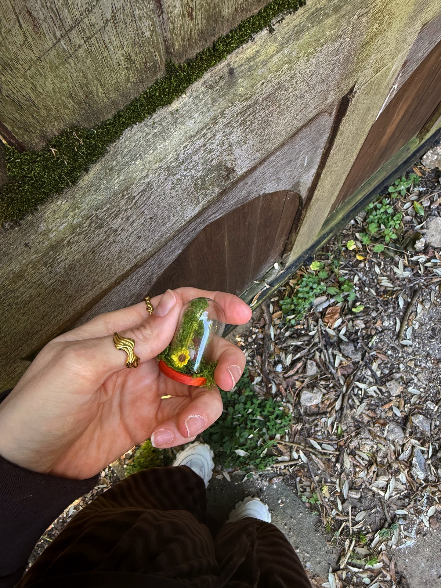 A baby snail glass cloche