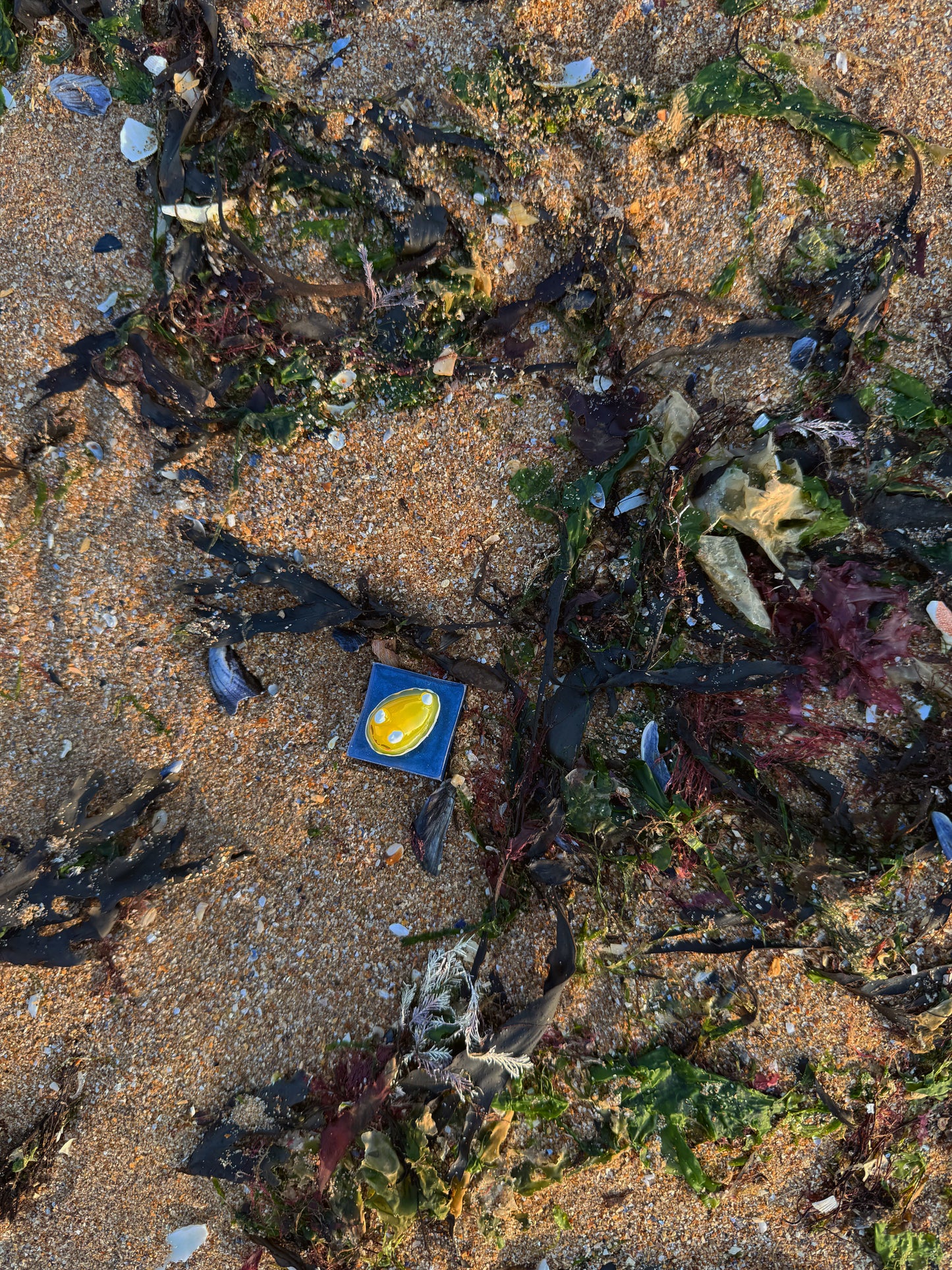Blue square wave: yellow slug