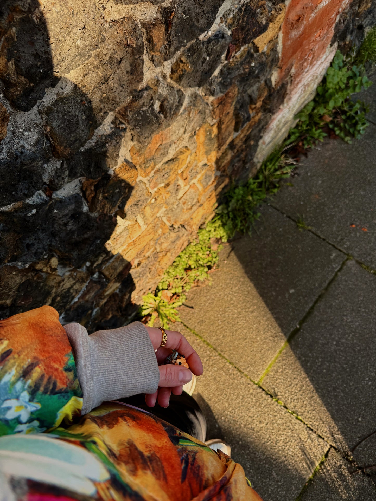 Mini hexagon: hamster