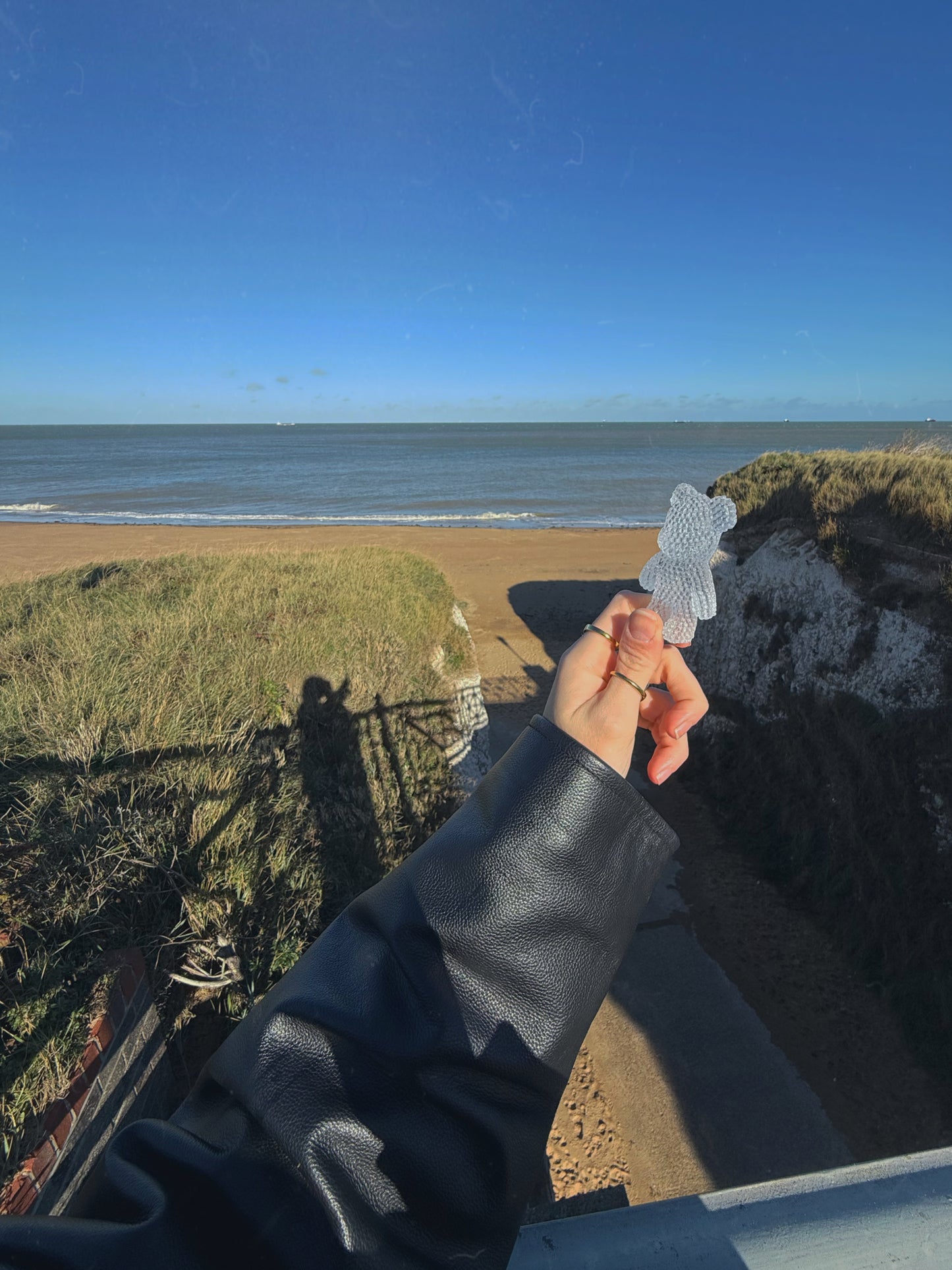 Jagger bear: safe spike 162