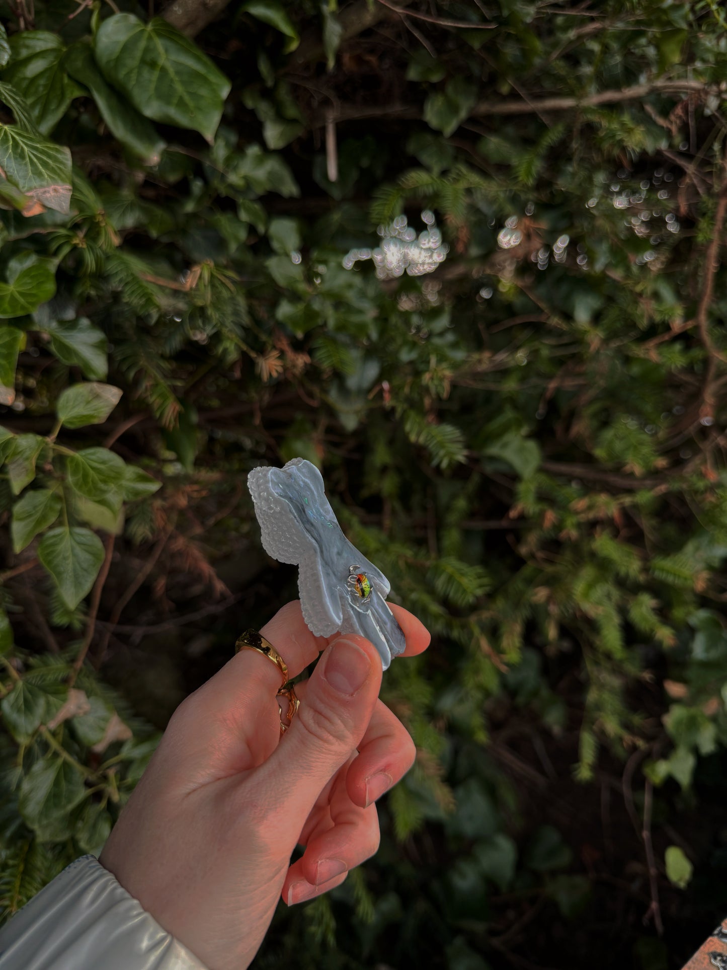 Jagger bear: dragon eye