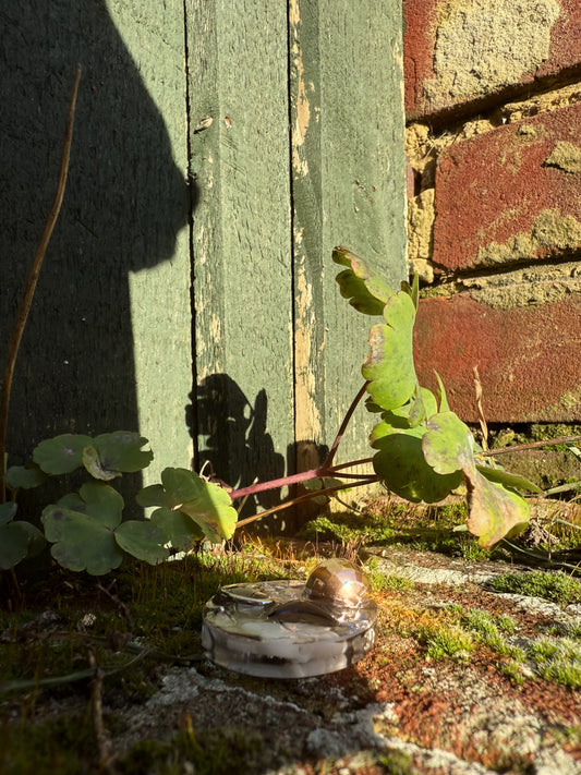 Black and white Disco - Micro oval