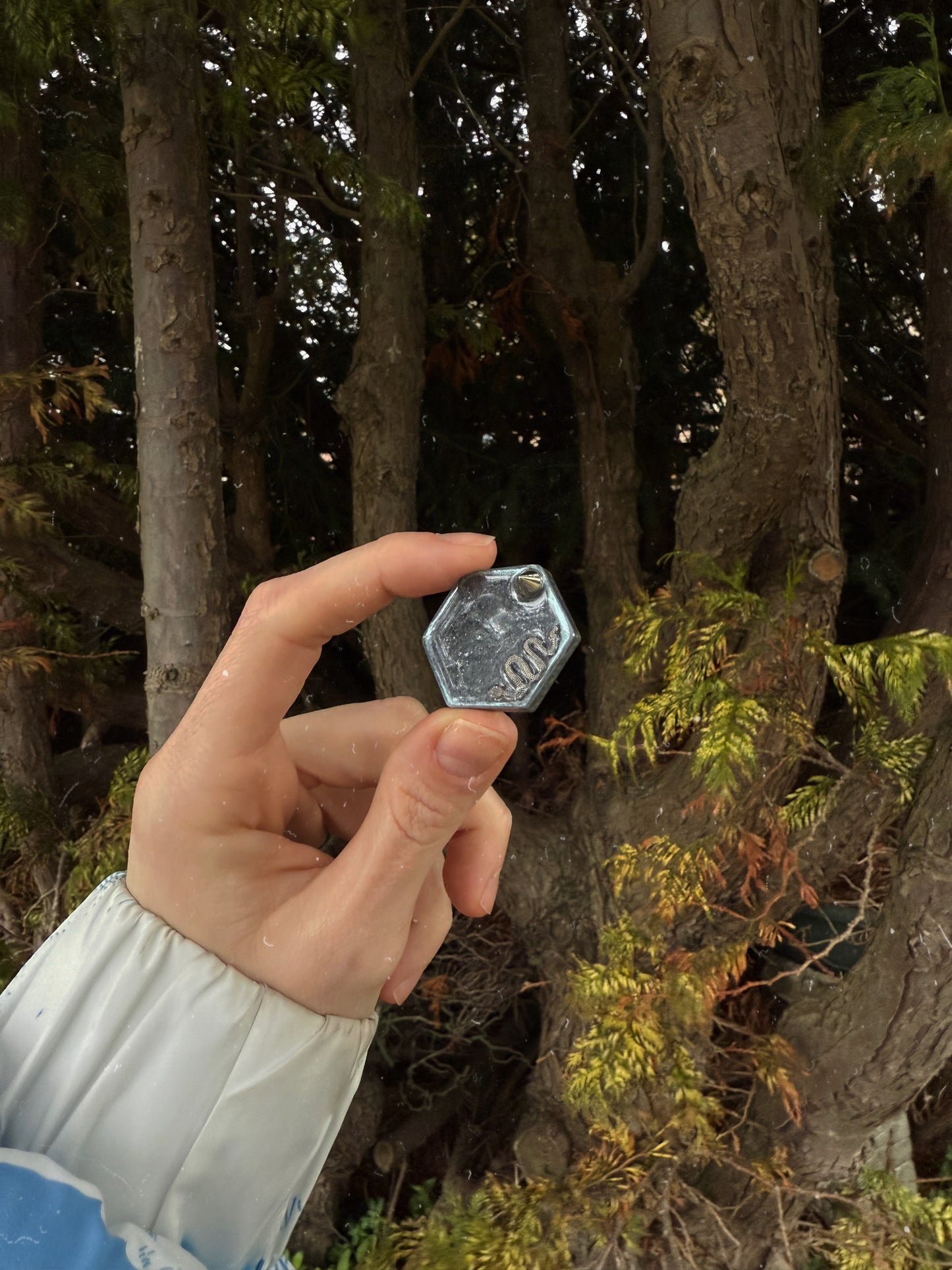 The snake and the spike