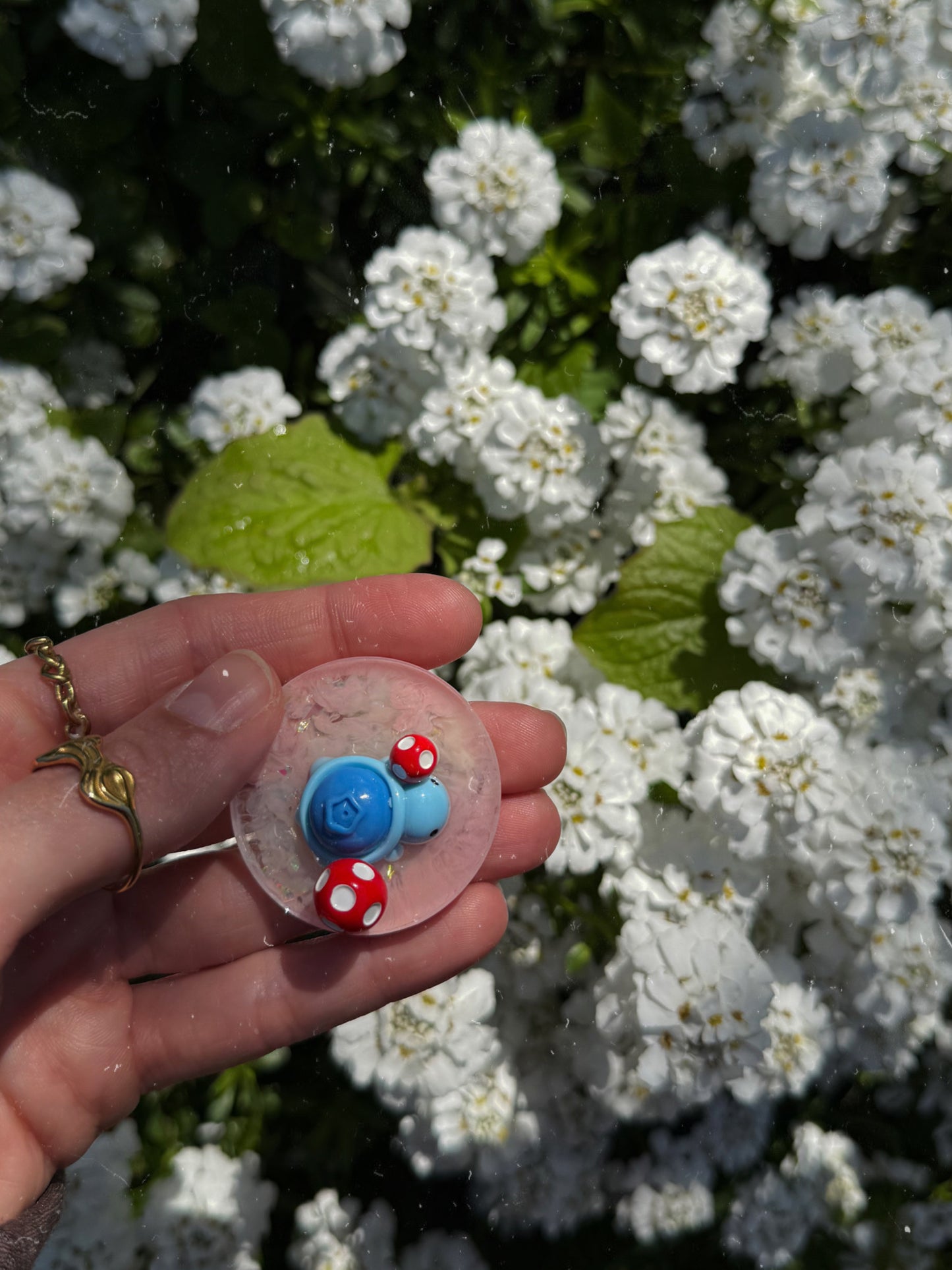 Blueberries & toadstools orb