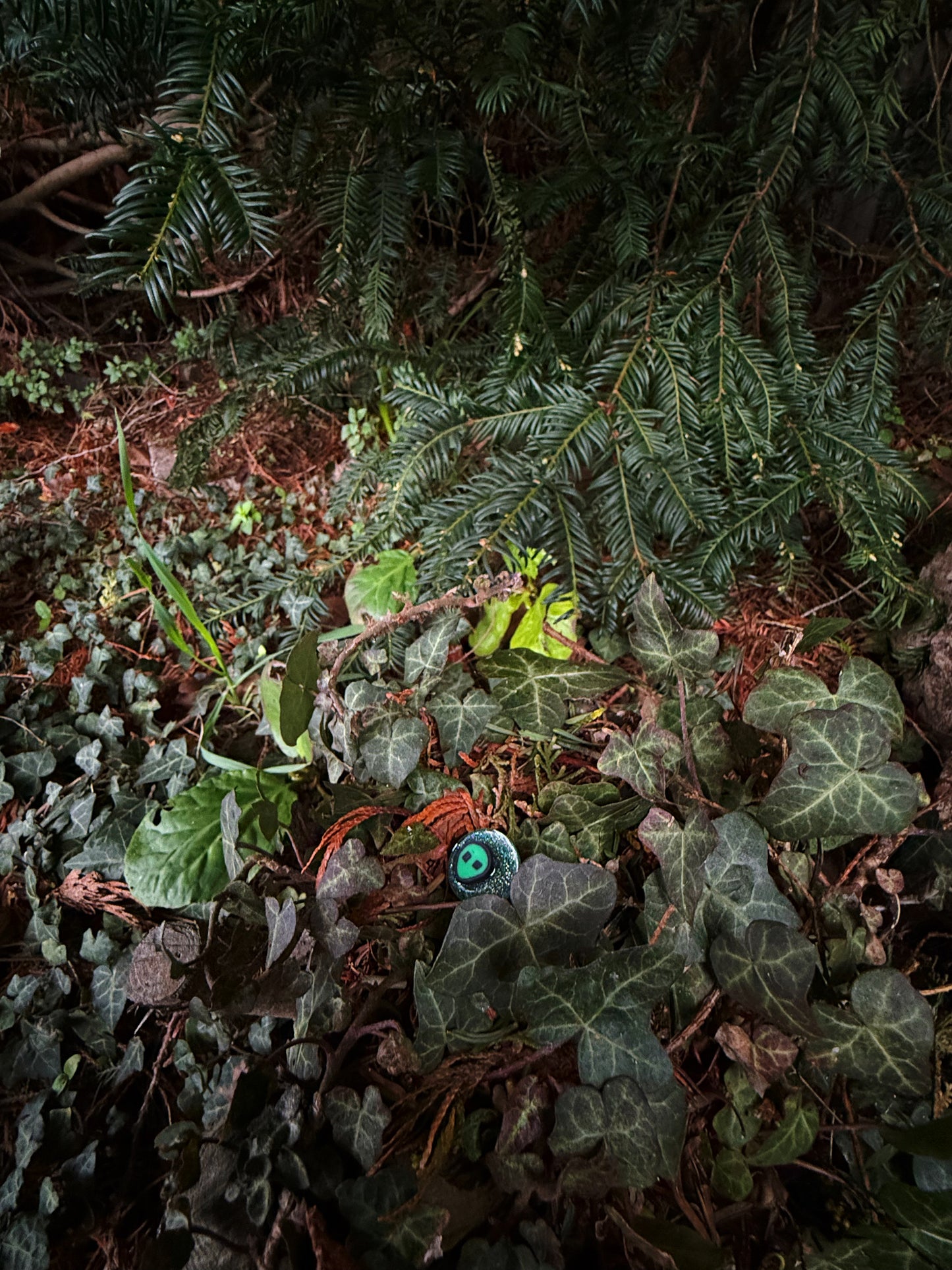 An alien: teeny tiny