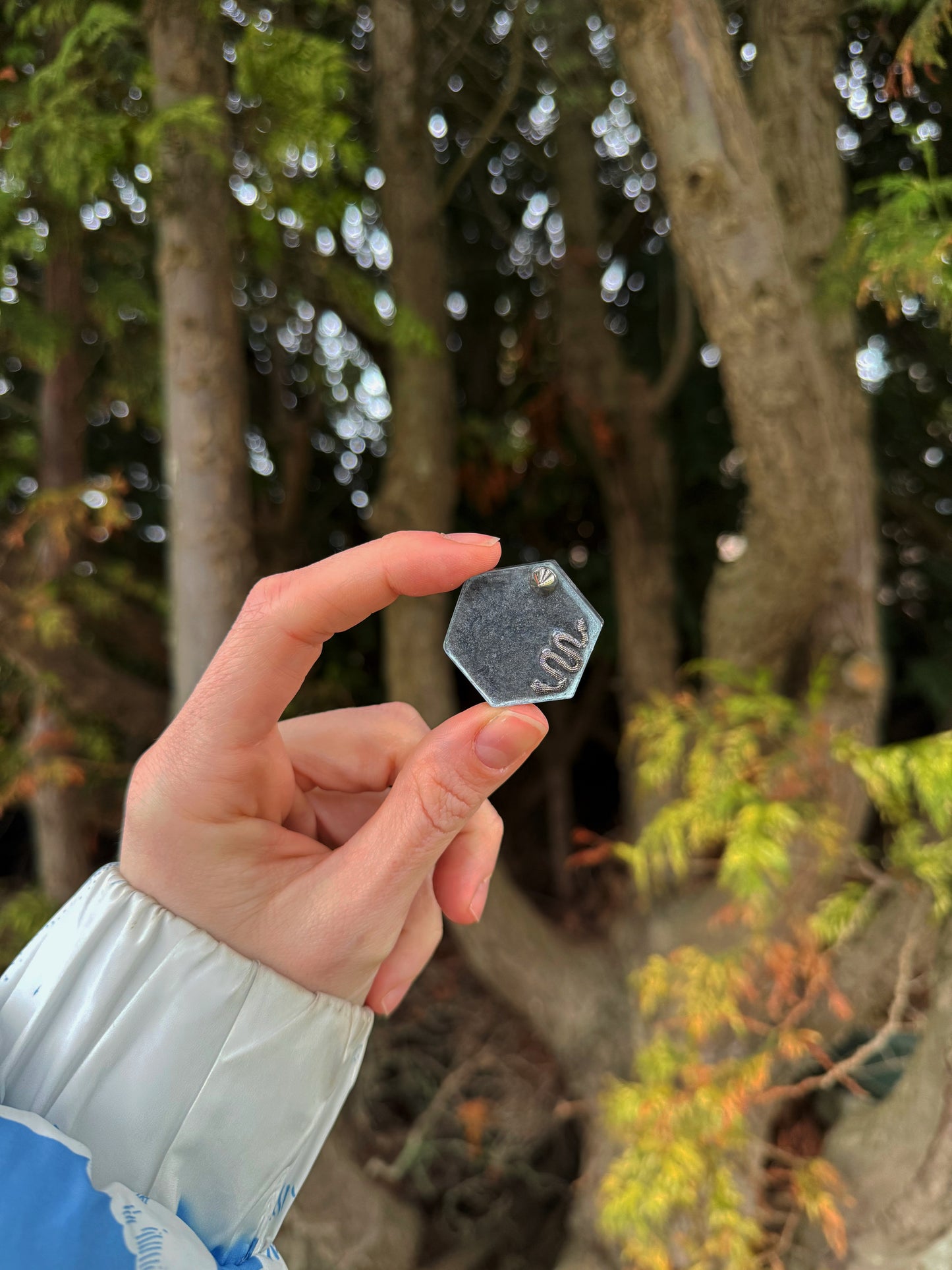 The snake and the spike