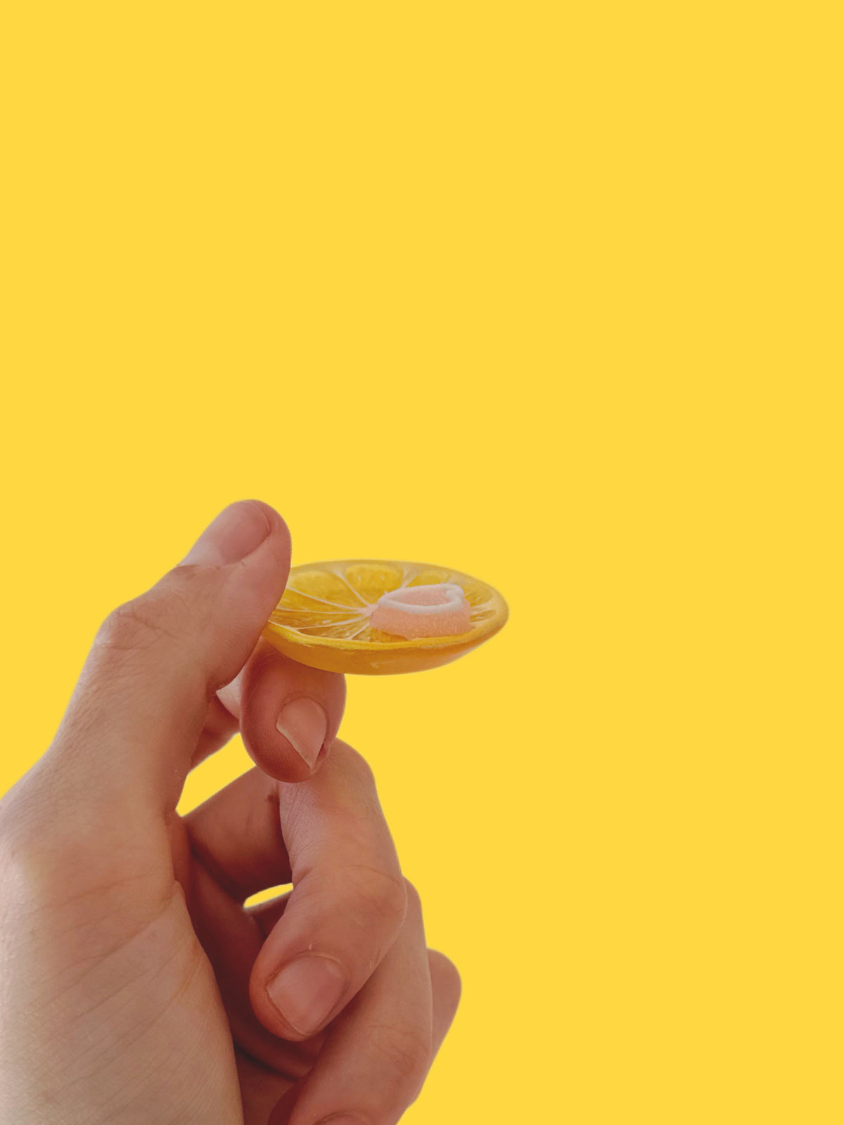 Little lemon slice