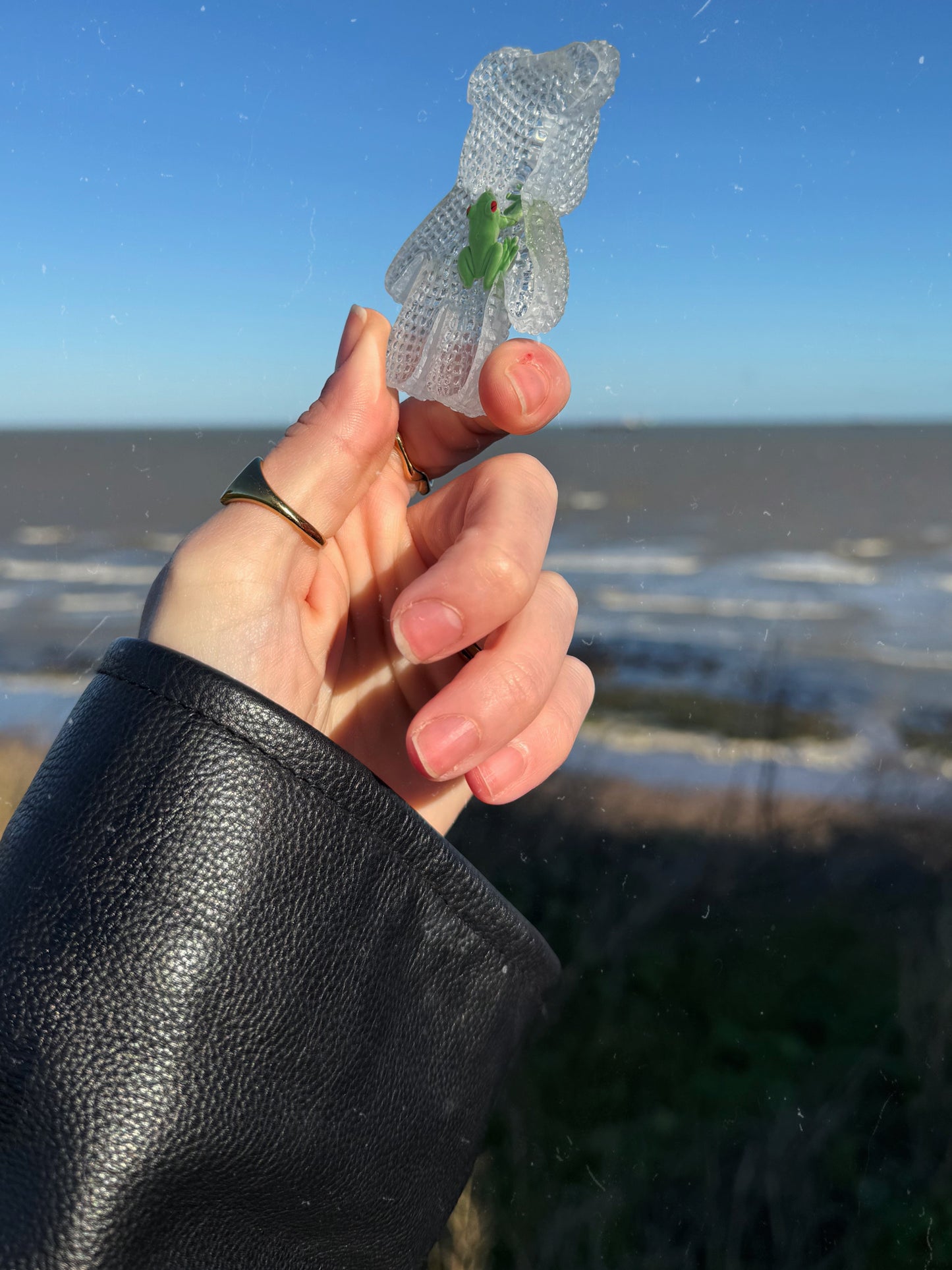 OOPS Jagger bear: frog specimen 174