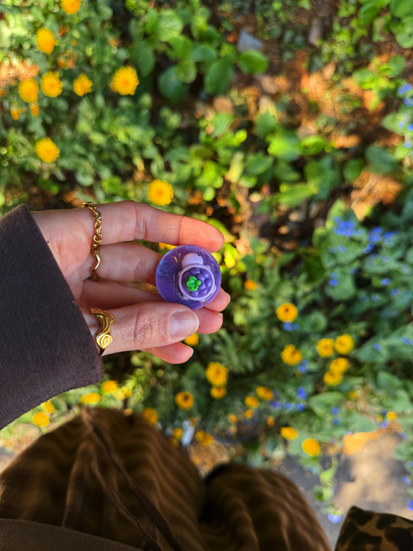 Grape tortoise micro orb