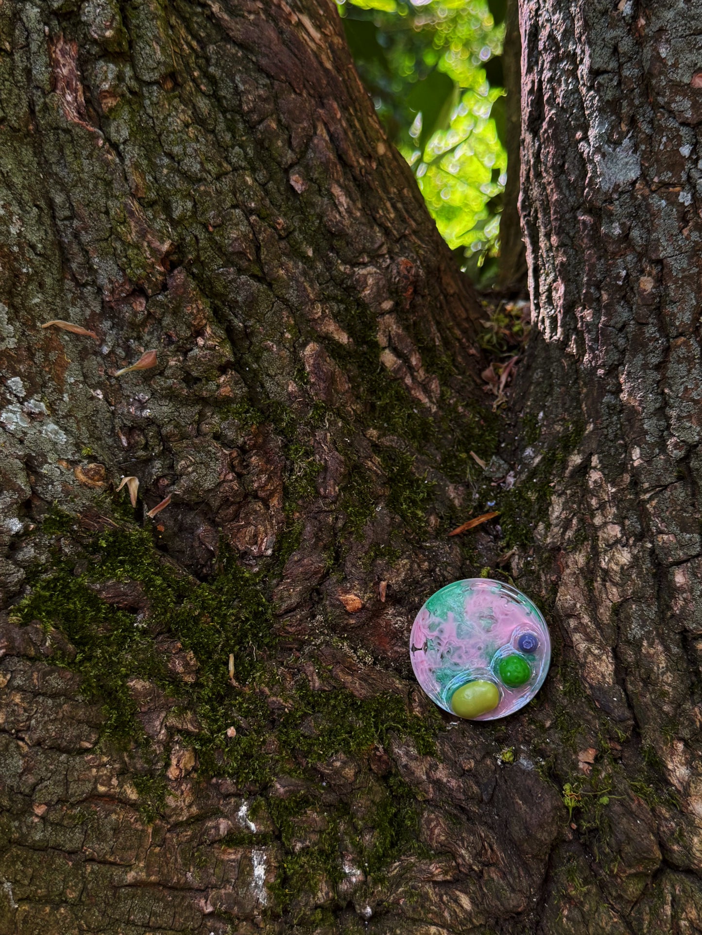 micro ripple: the pea dream