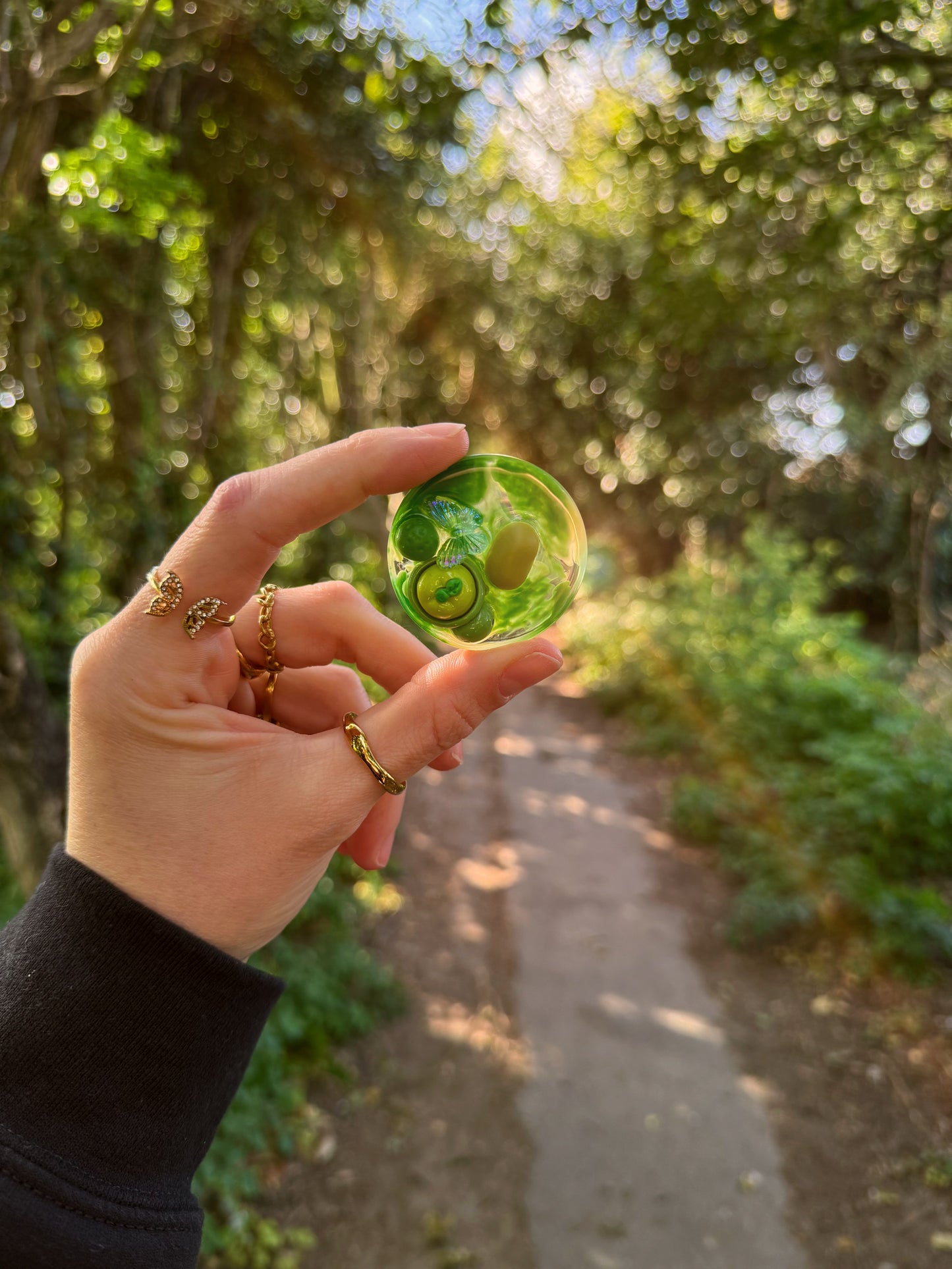 Apple & veg large orb
