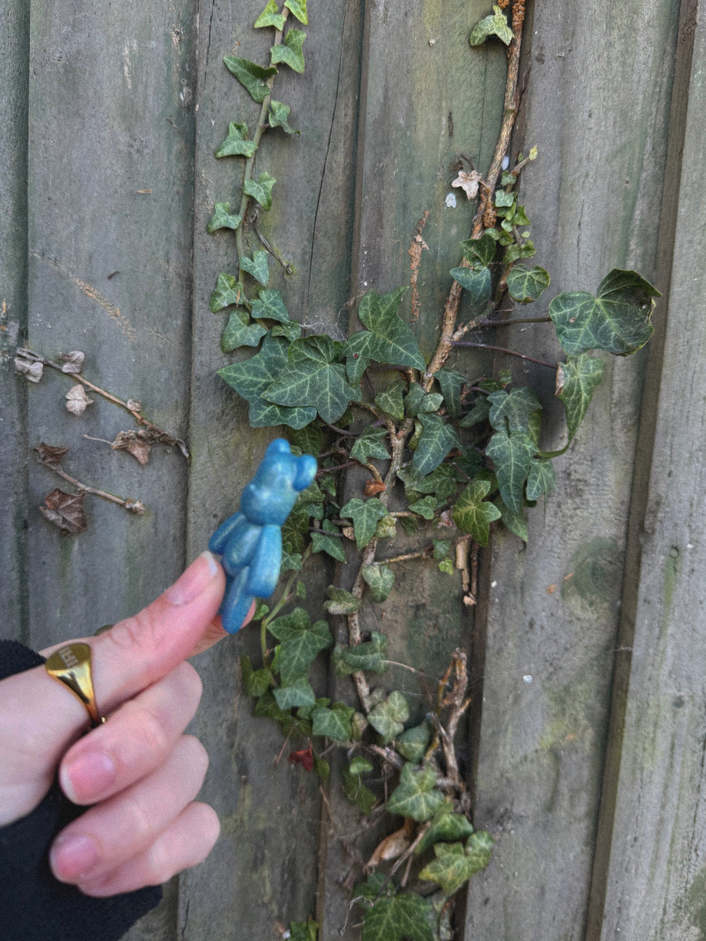 Worry bear: electric blue 142