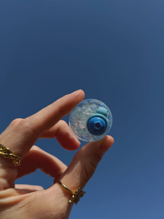 Blueberry turtle wave
