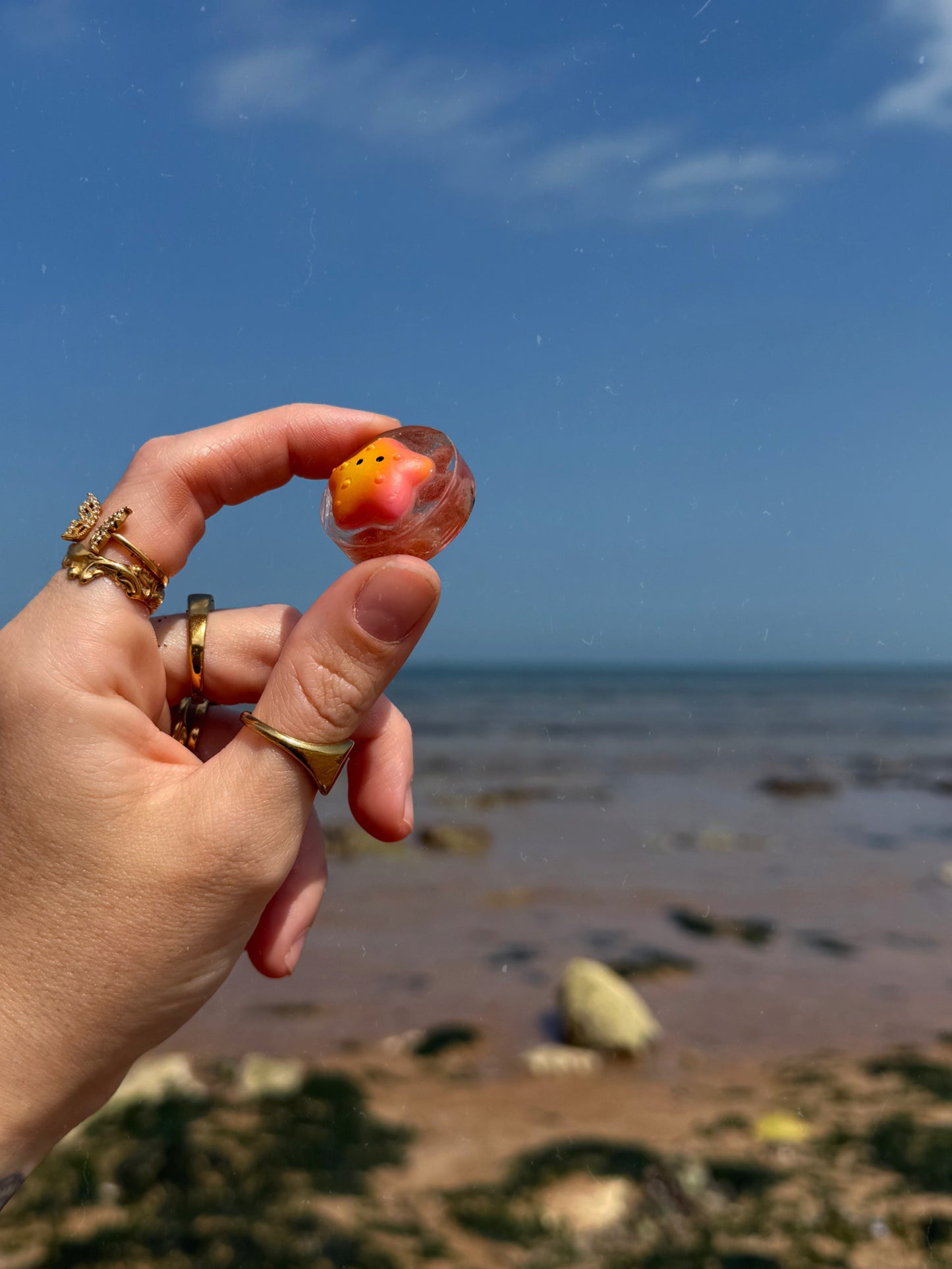 Star fish pebble
