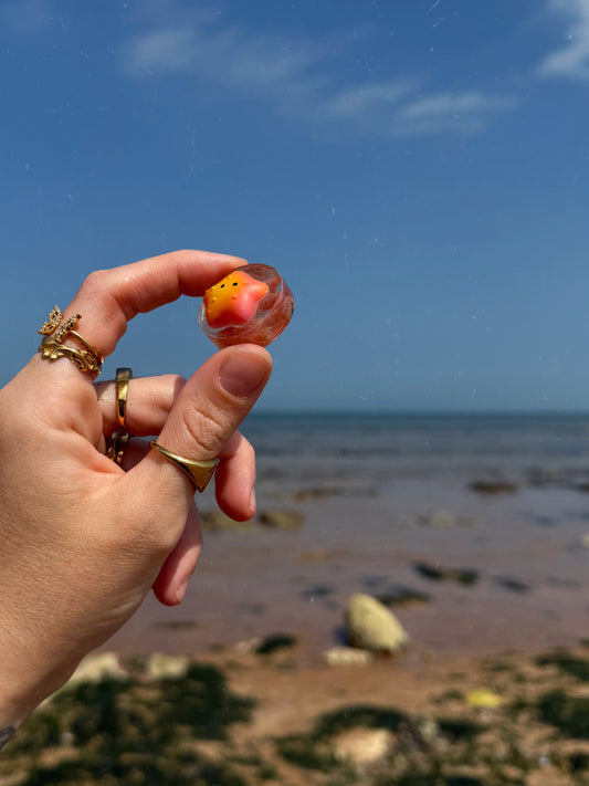 Star fish pebble
