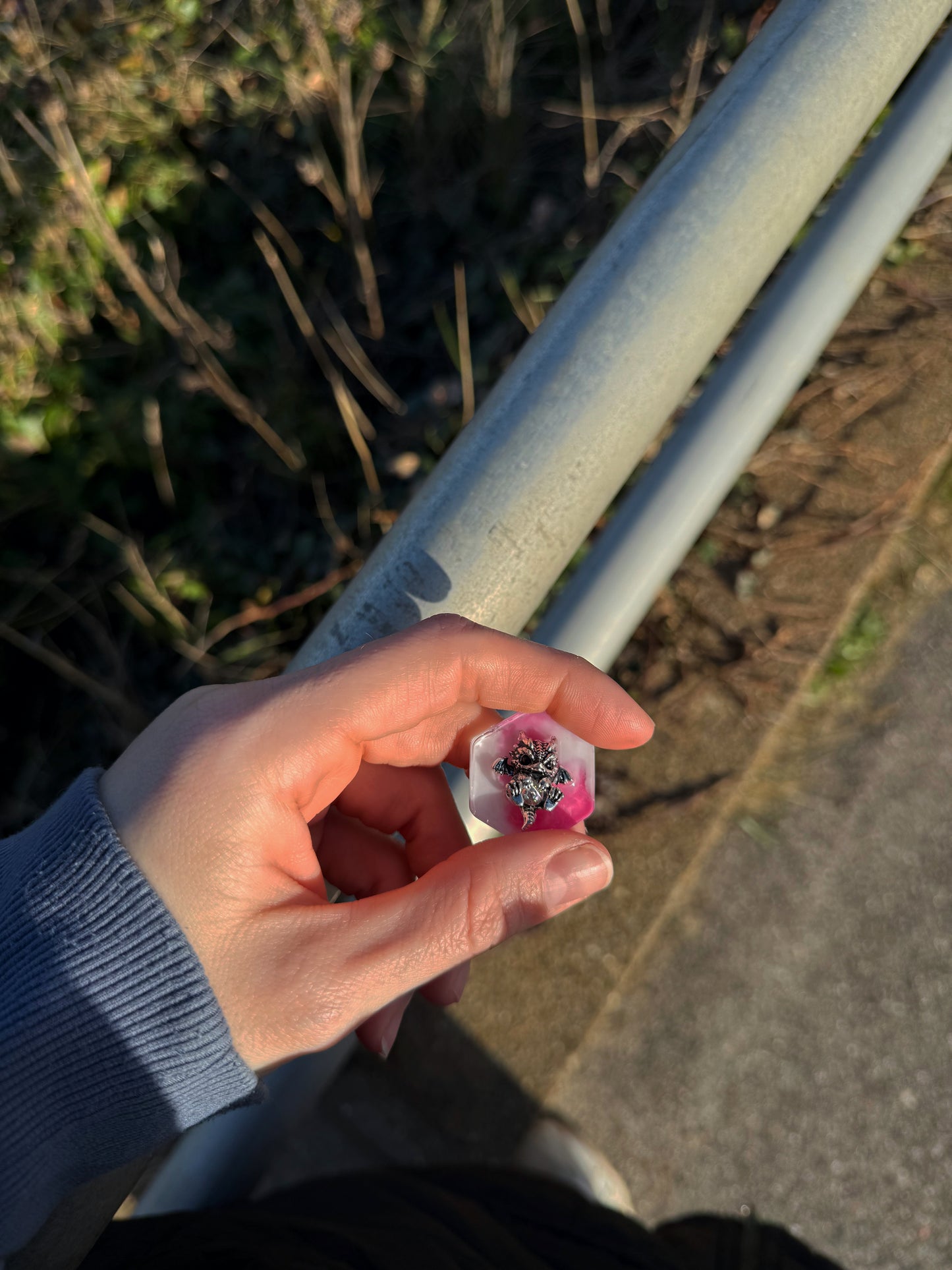 Pink dragon : a little hexagon