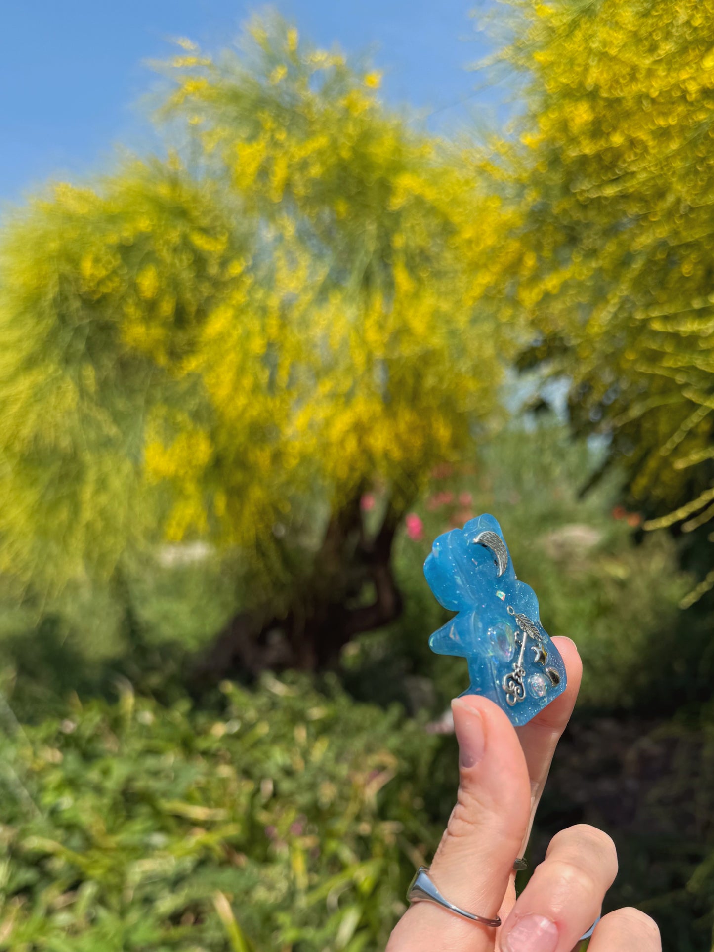 Magic water JJ bear