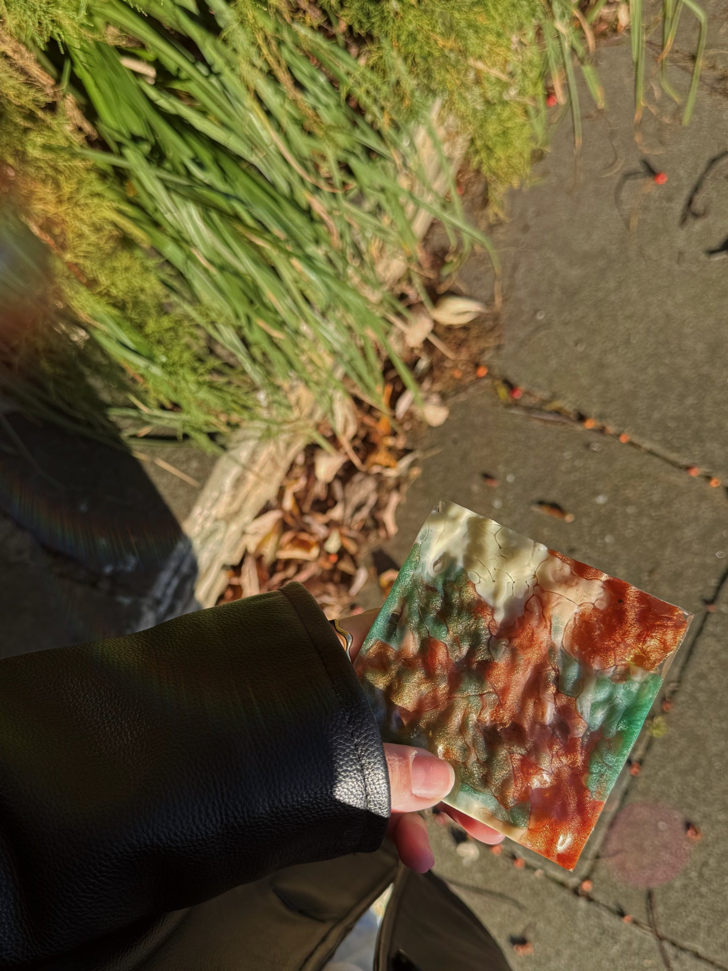 XL square wave: dragon bone 113