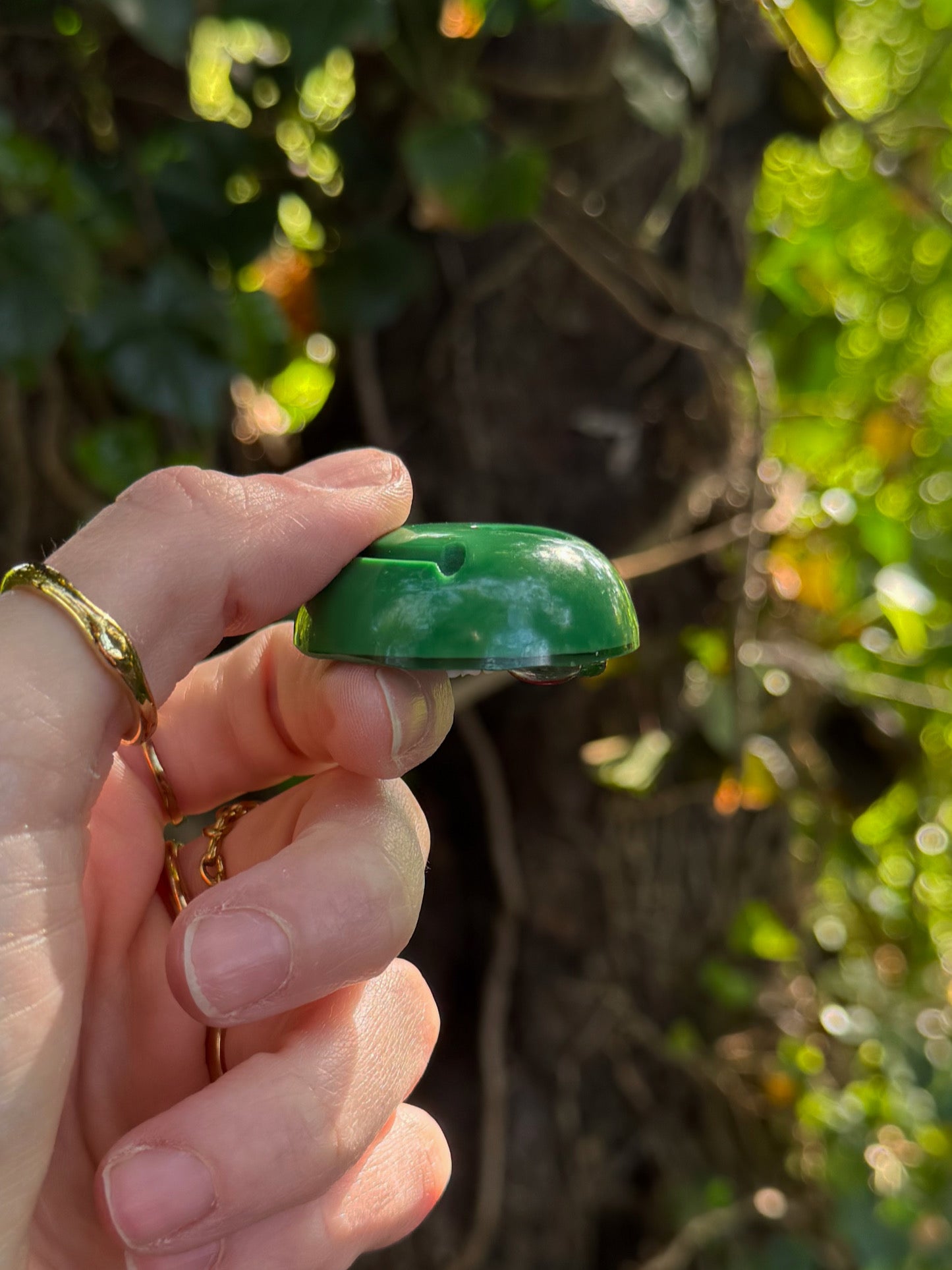 Fairy garden smile finder