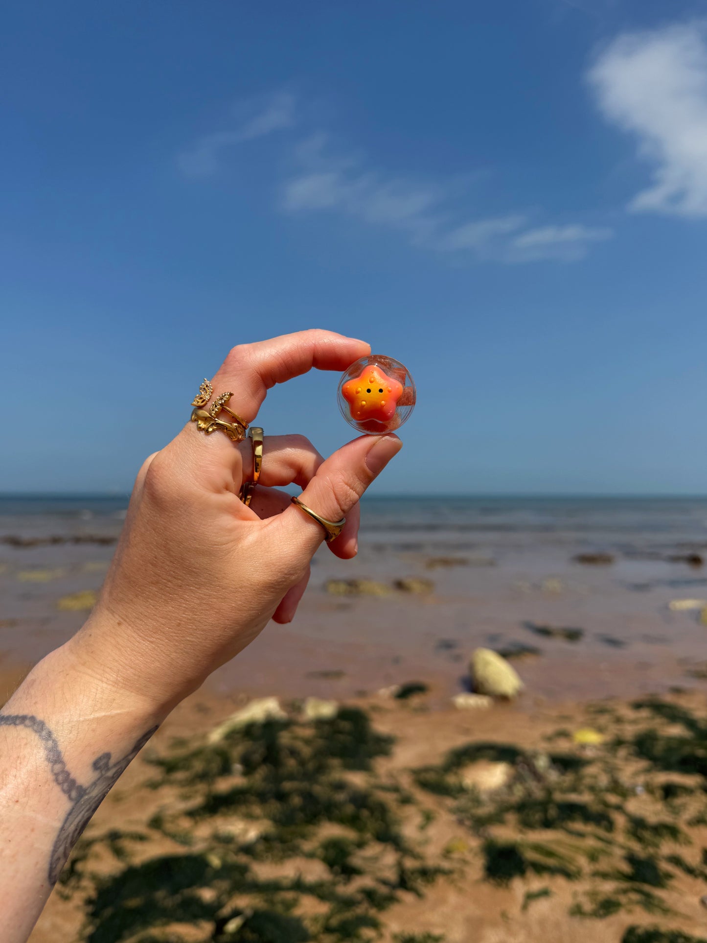 Star fish pebble