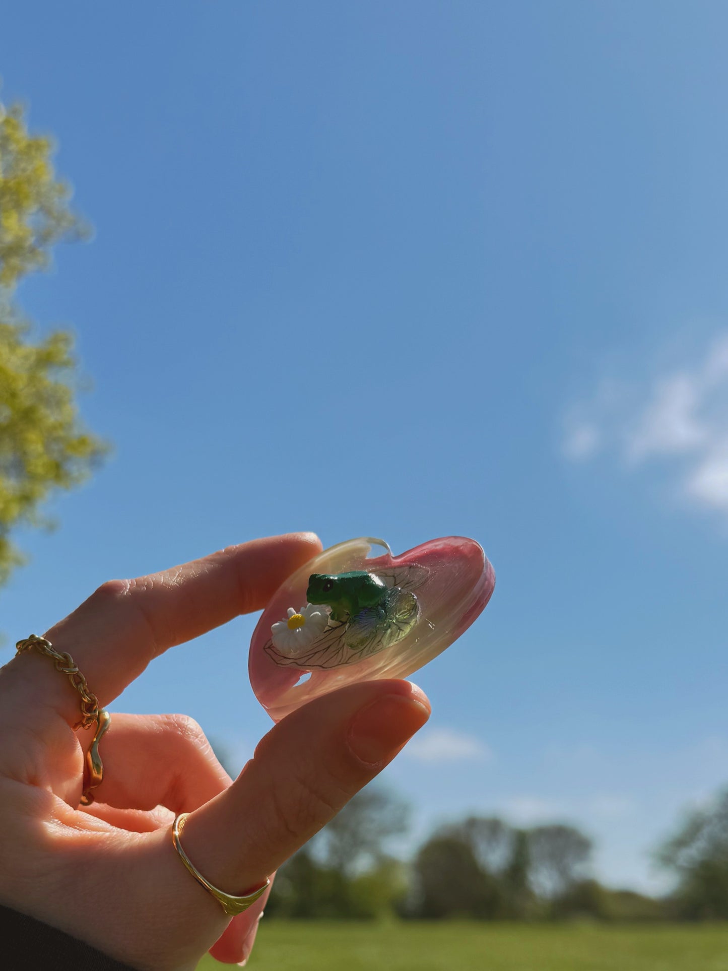 Pink frog heart orb