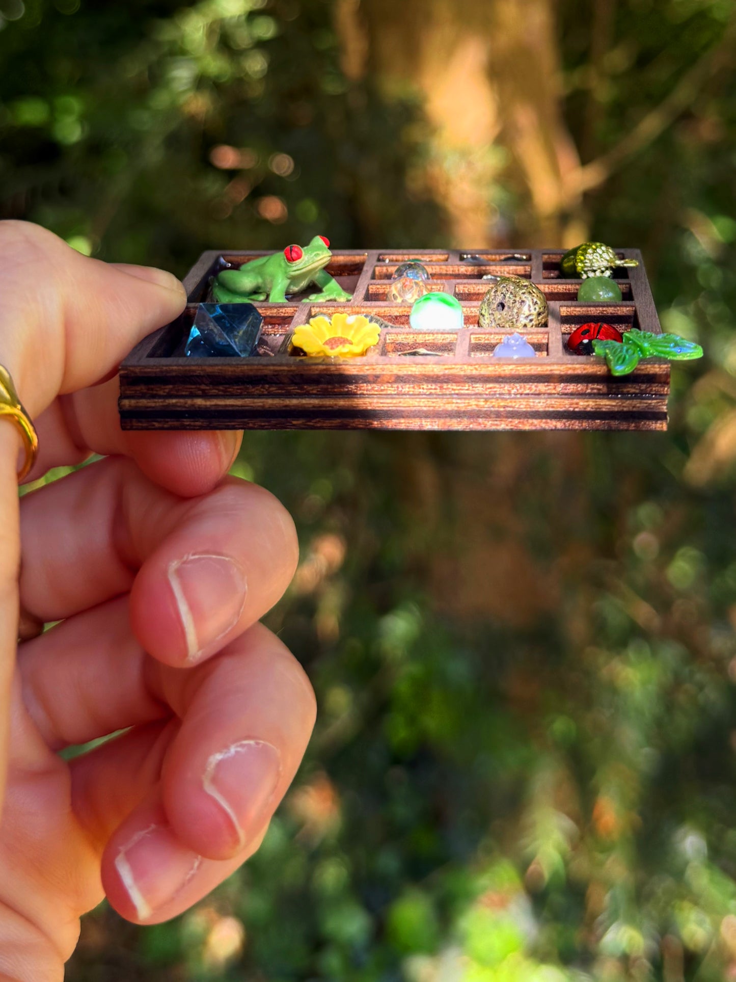 The frog book shelf