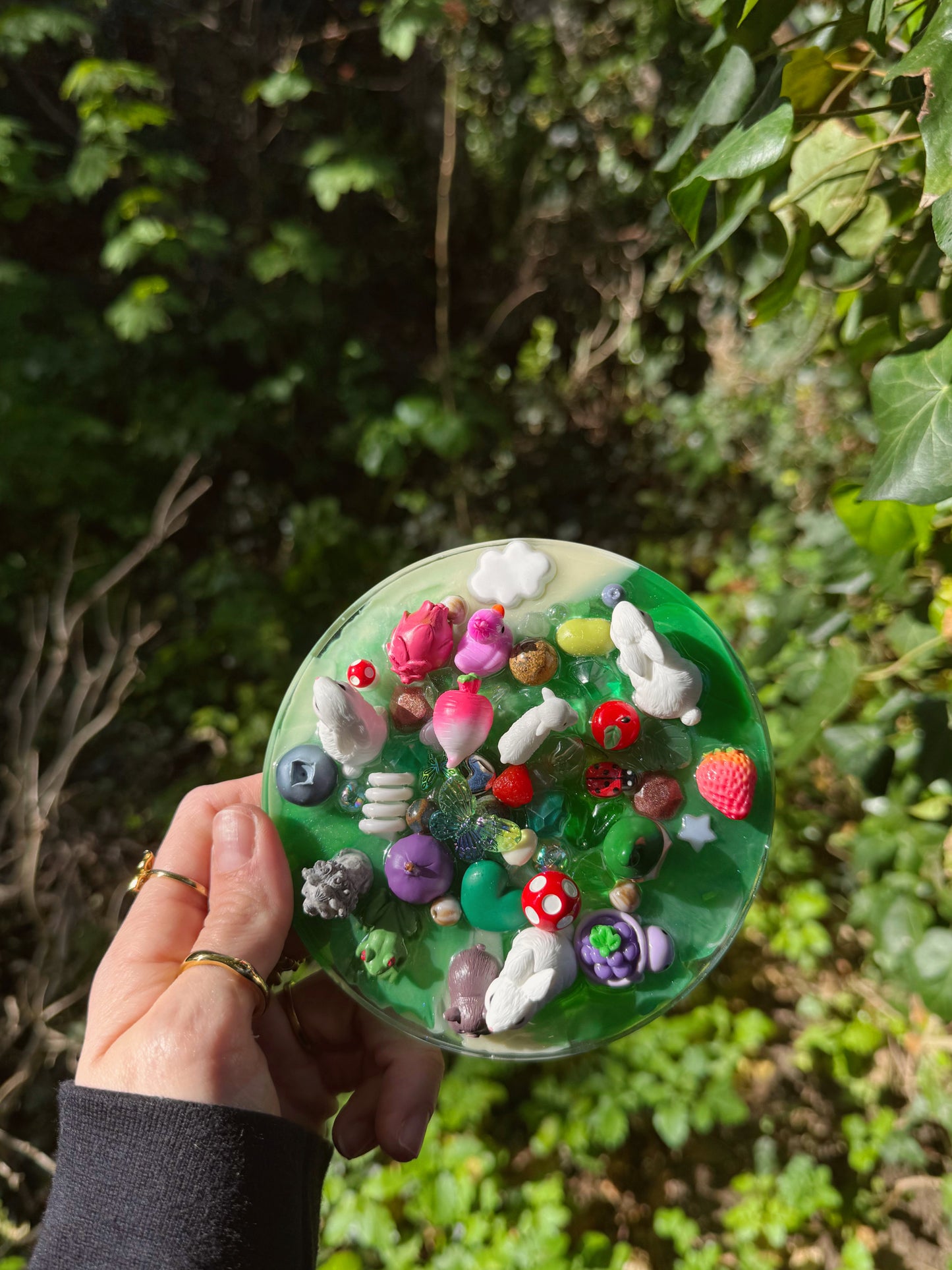 The planet tinker: the watching rabbits