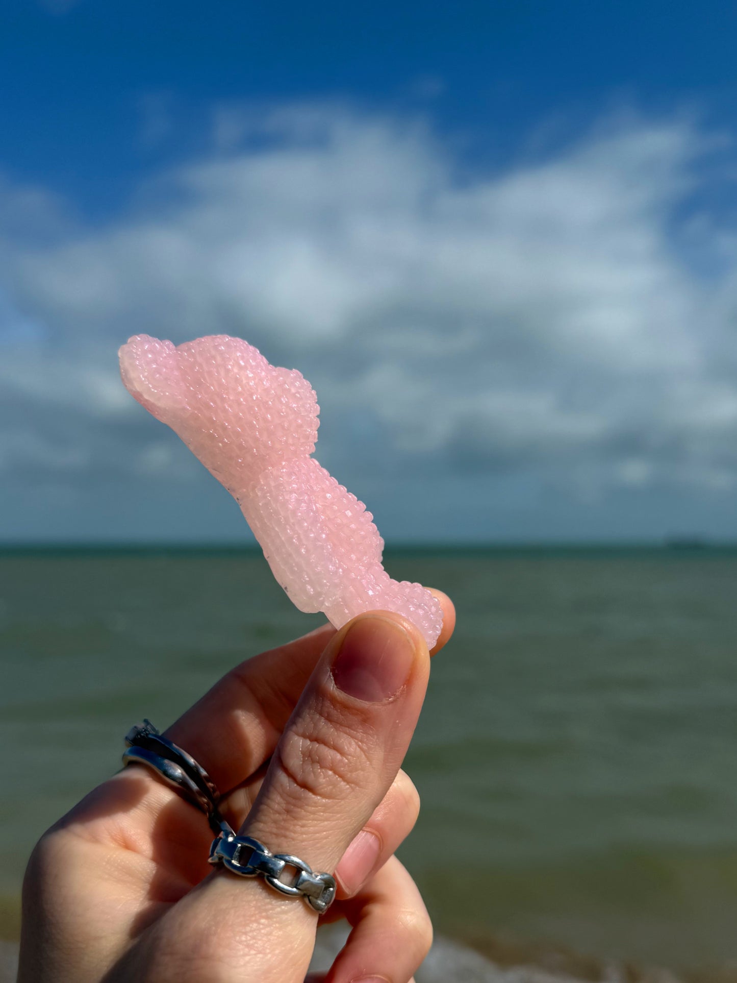 Jagger bear: pink bubble