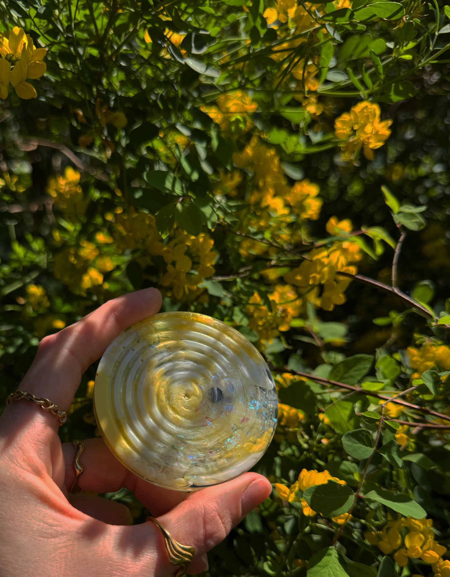 Big small ripple: yellow sunshine