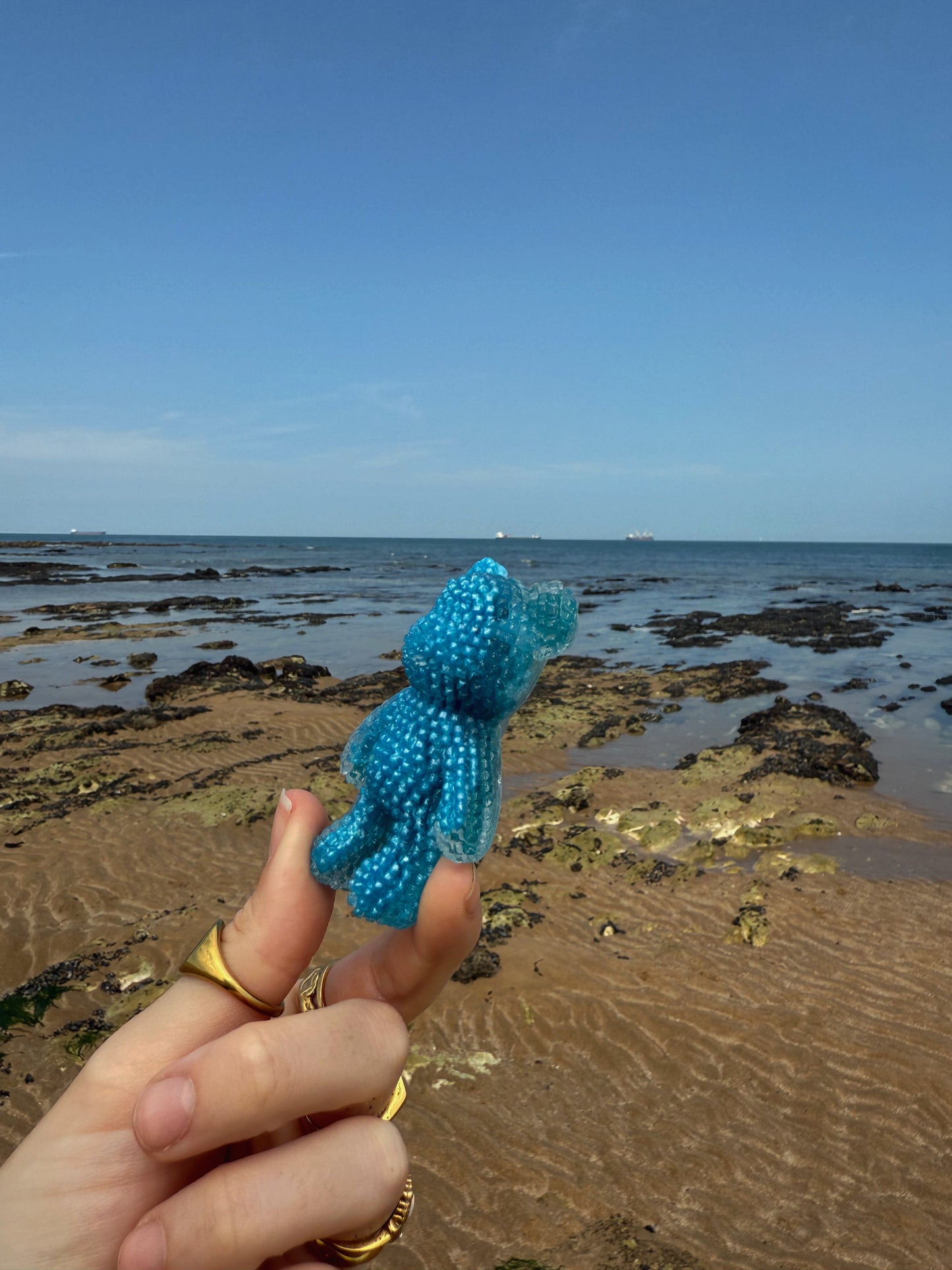 Jagger bear: glow in the dark shells 85
